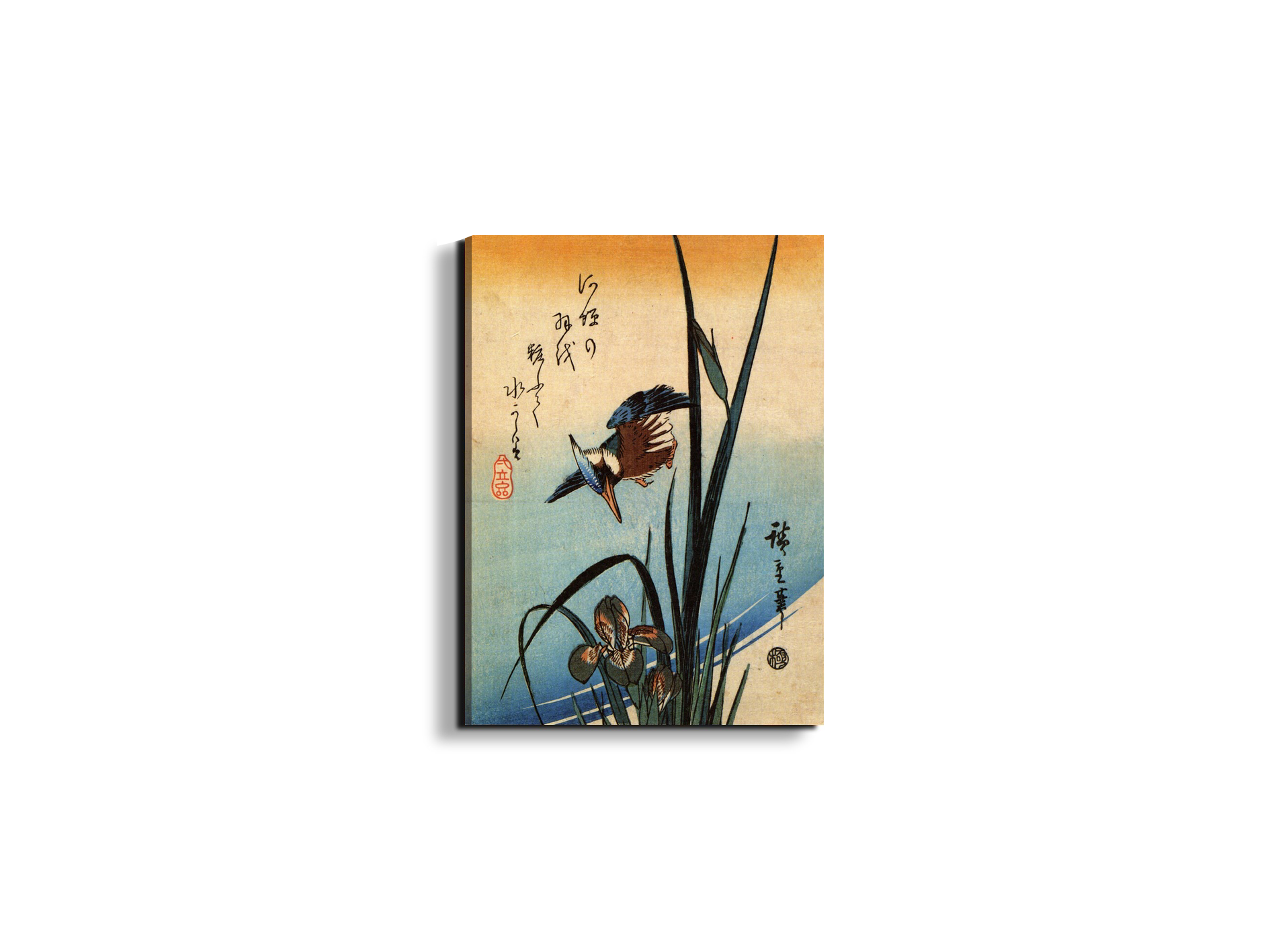 kingfisher-and-lilies-iias92989-