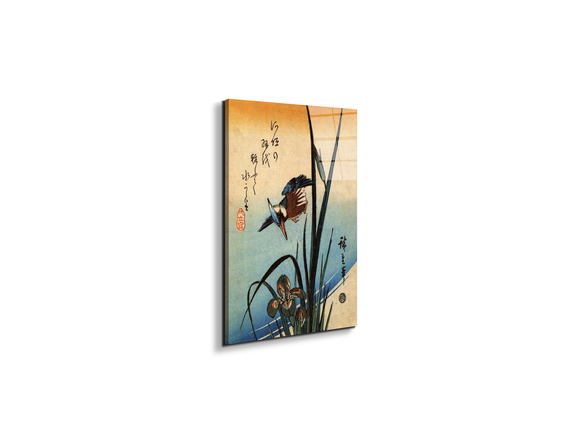 kingfisher-and-lilies-iias92989-