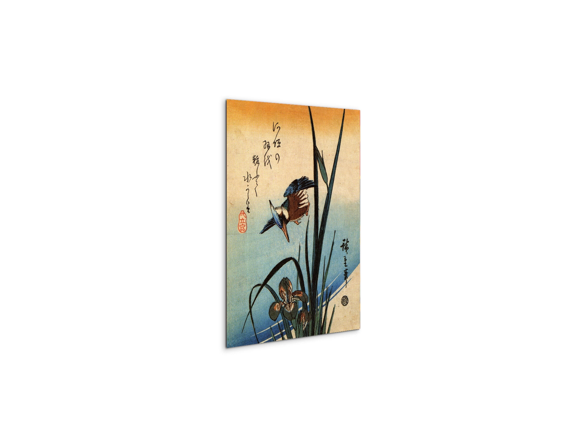 kingfisher-and-lilies-iias92989-