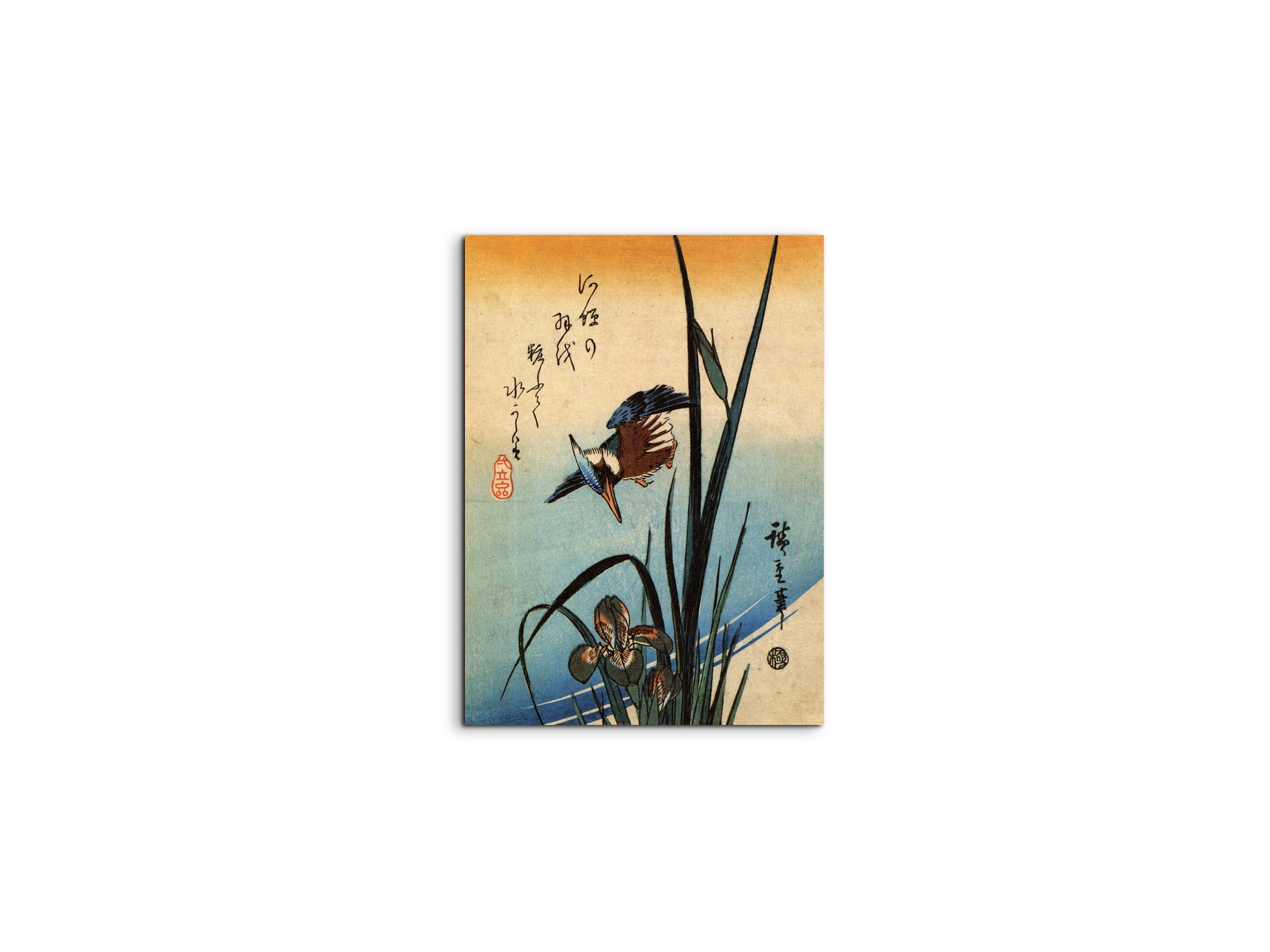 kingfisher-and-lilies-iias92989-