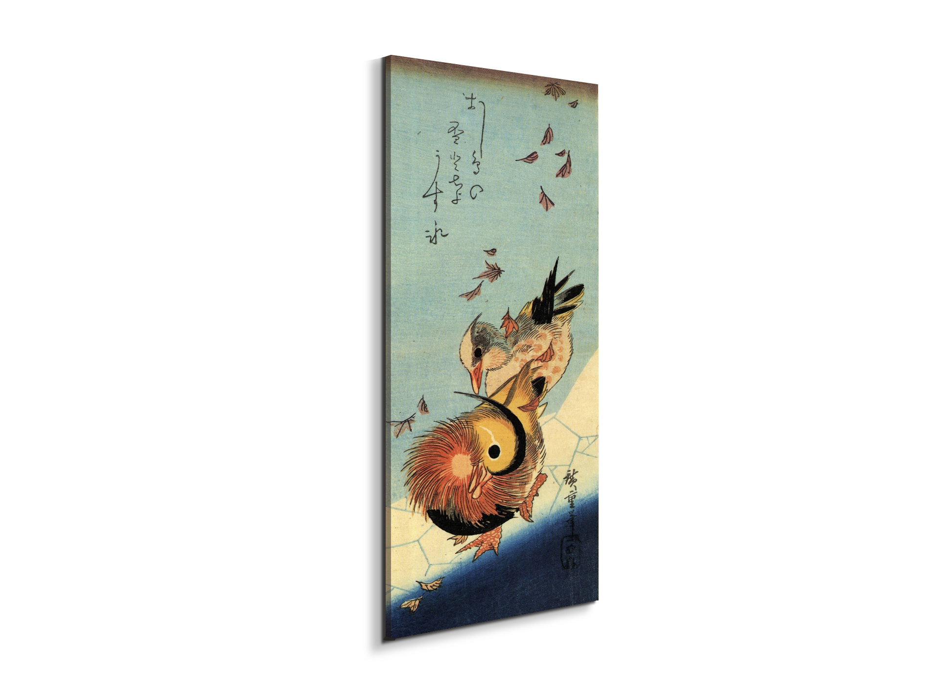 mandarin-duck-on-frozen-pondas92994-