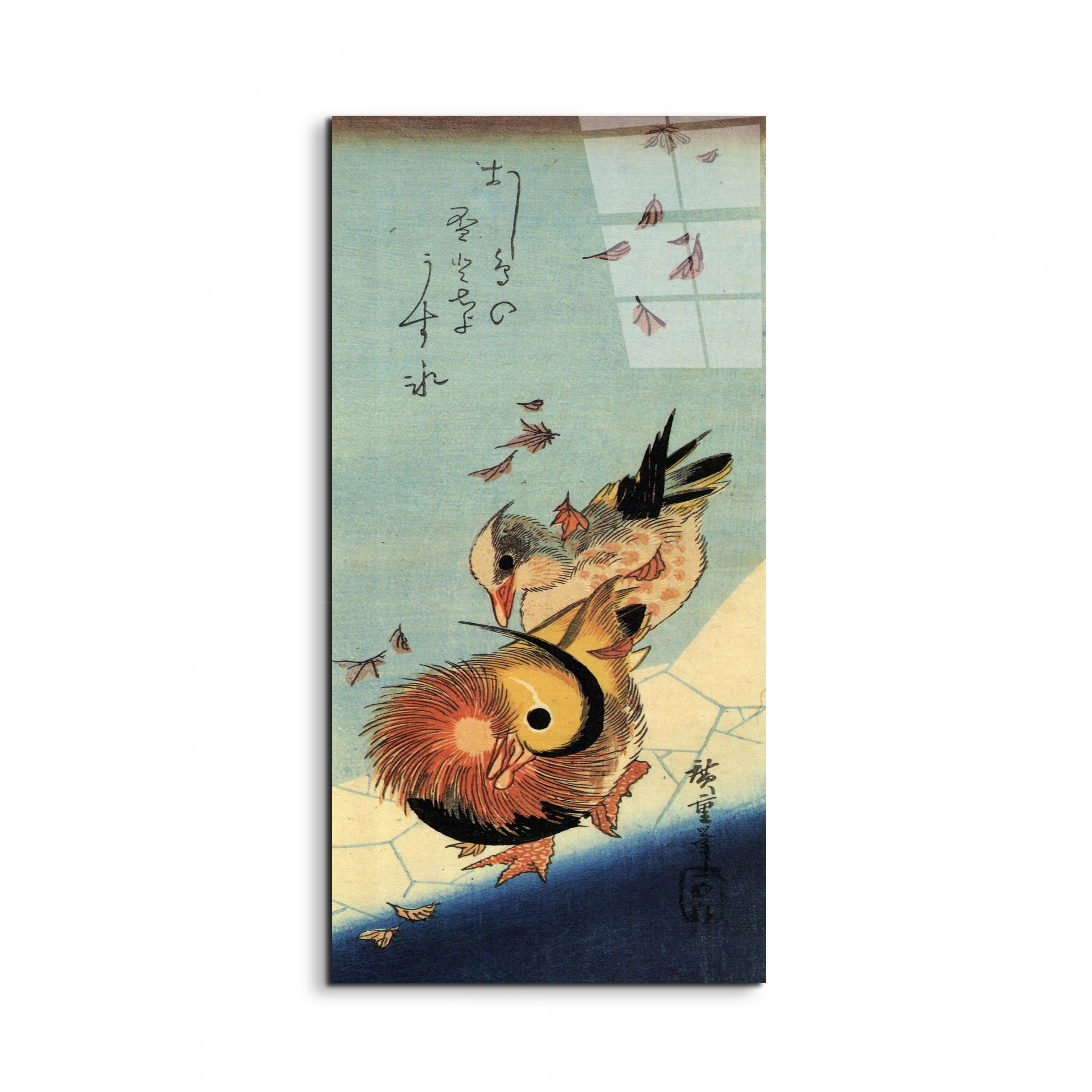 mandarin-duck-on-frozen-pondas92994-