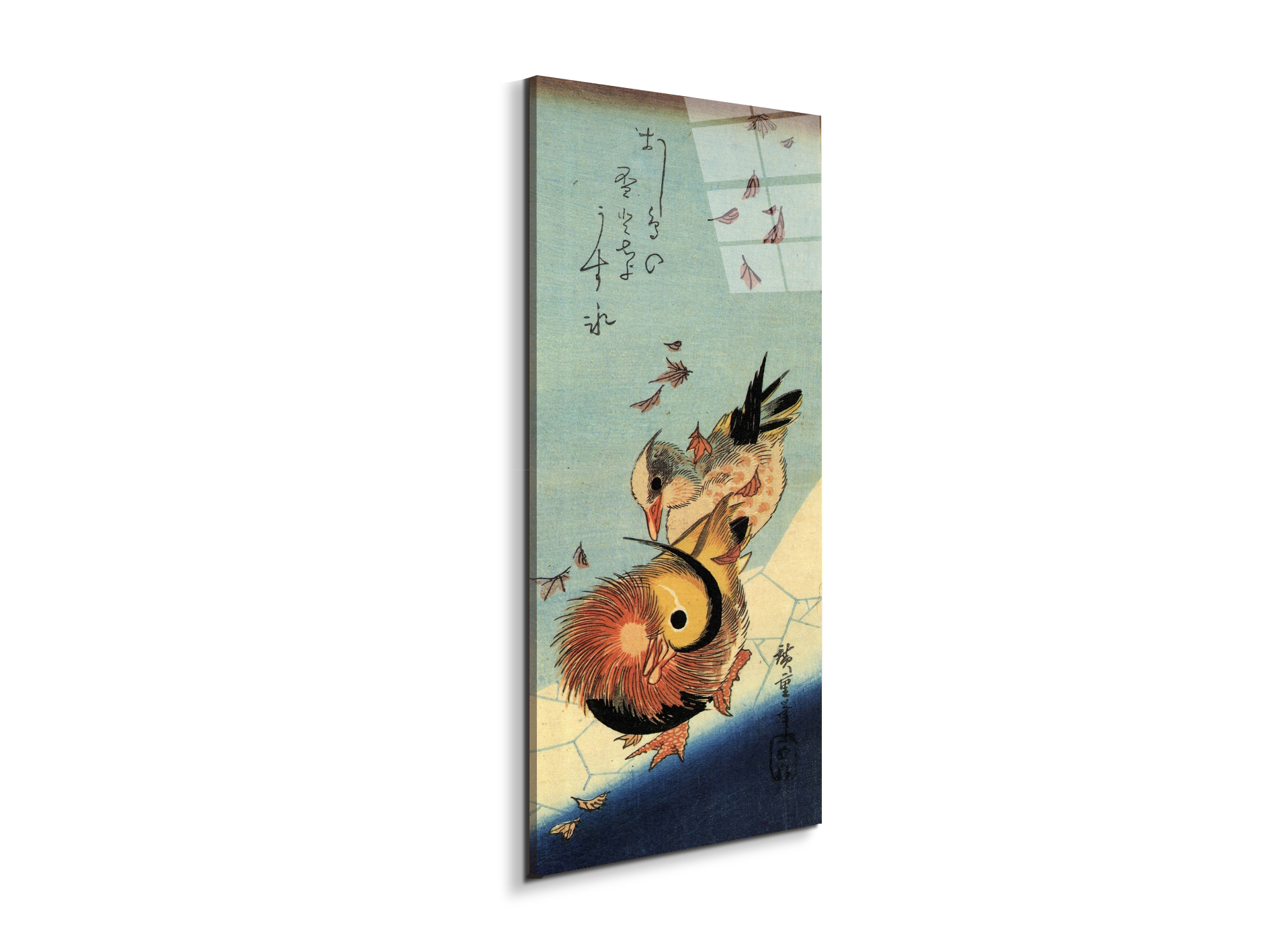 mandarin-duck-on-frozen-pondas92994-