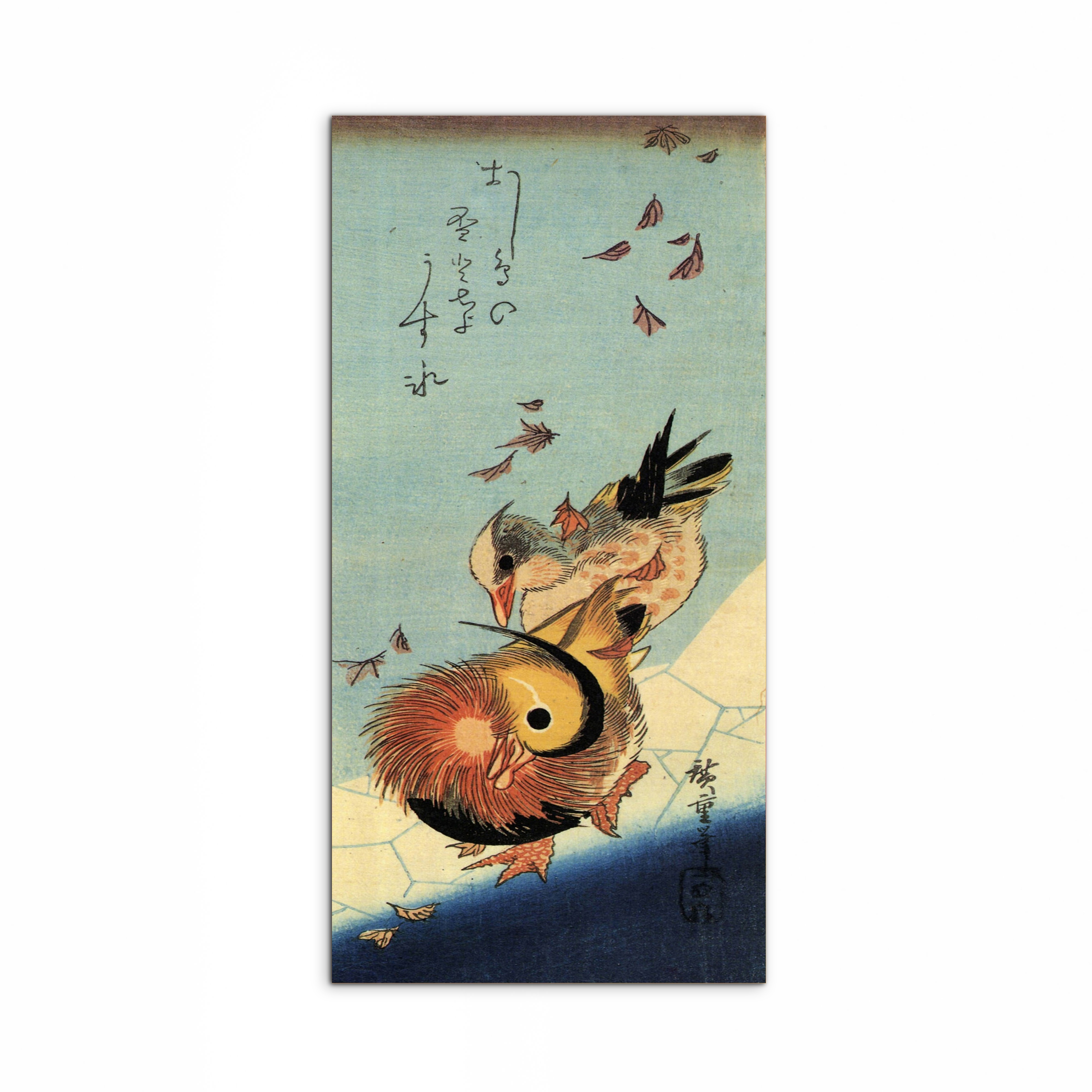 mandarin-duck-on-frozen-pondas92994-#materiale_MetalArt Materic/dimensioni_50x100