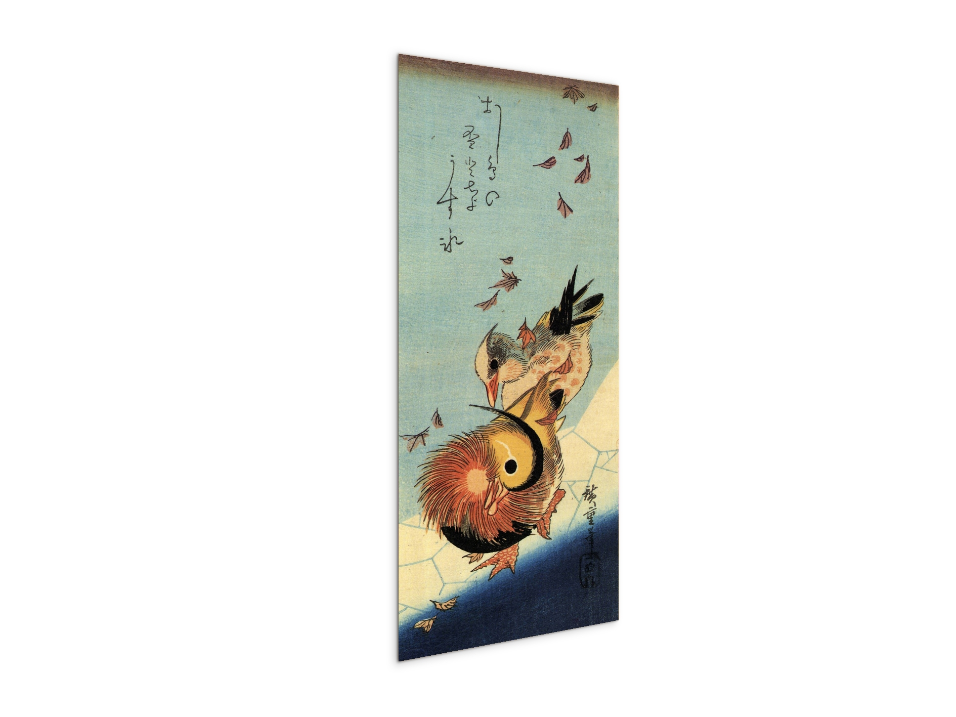 mandarin-duck-on-frozen-pondas92994-
