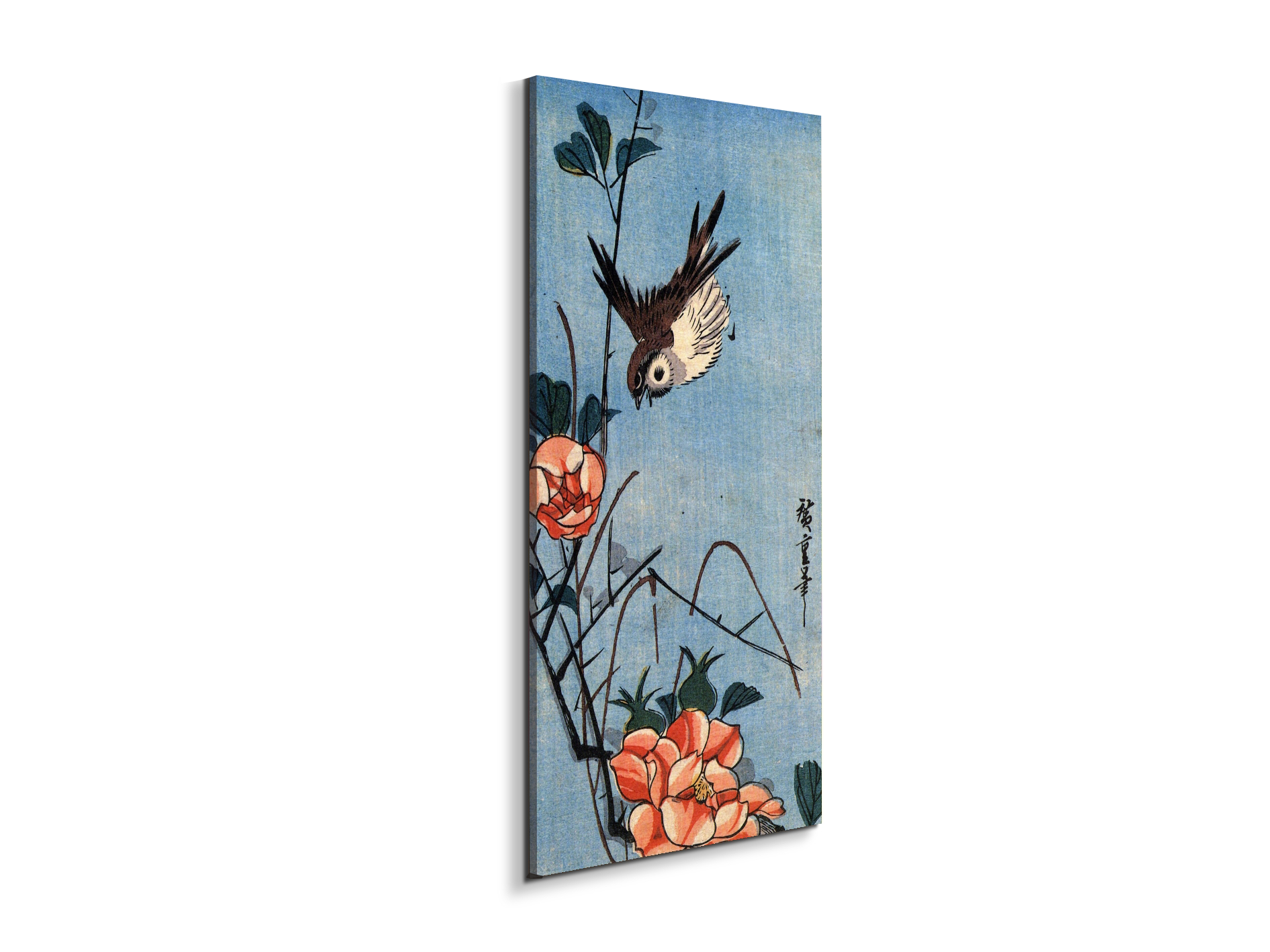 sparrows-and-wild-roseas93018-