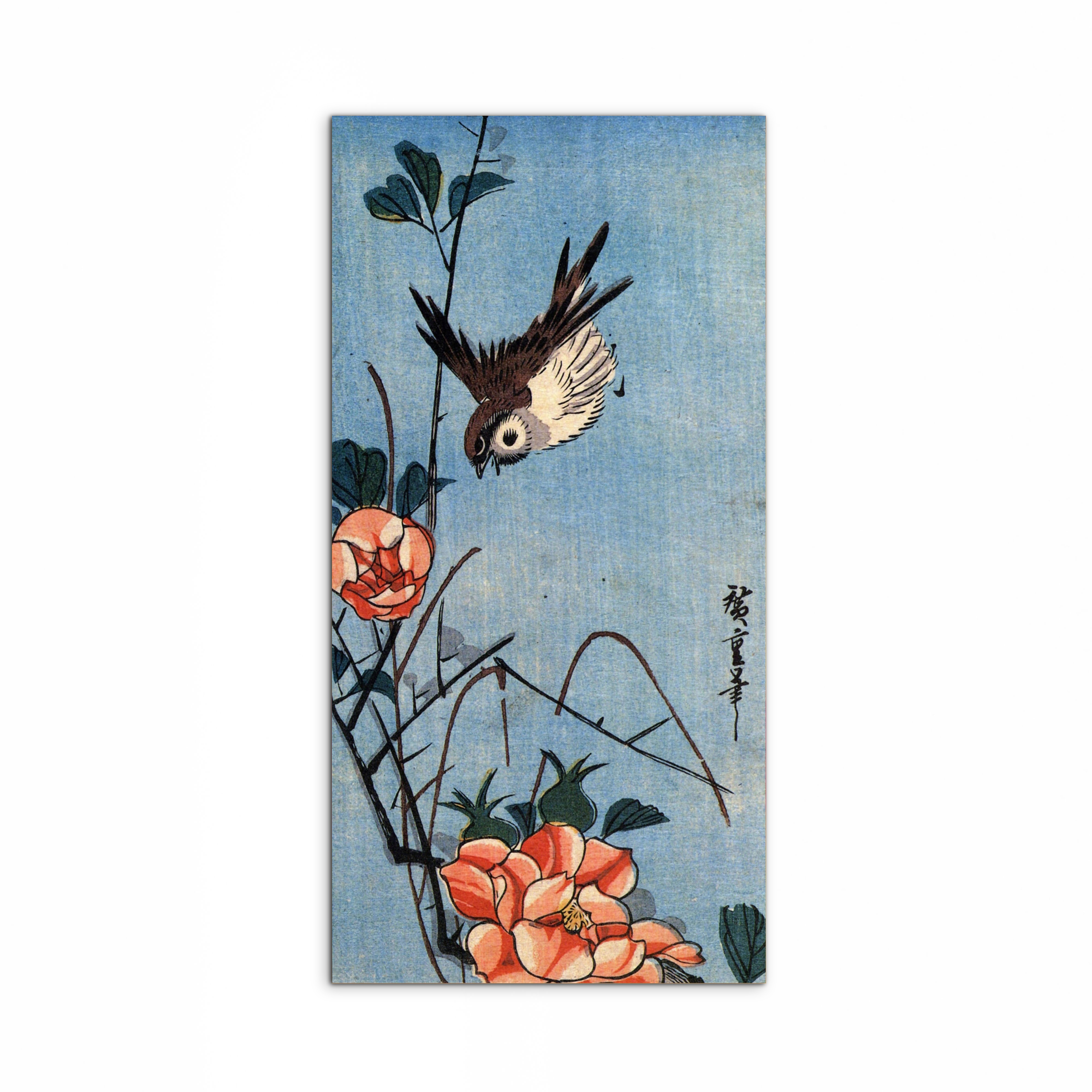 sparrows-and-wild-roseas93018-