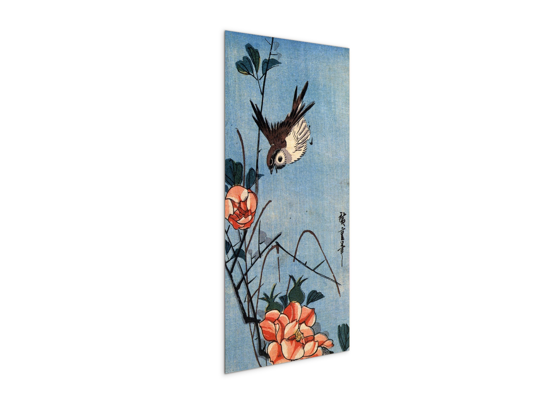 sparrows-and-wild-roseas93018-