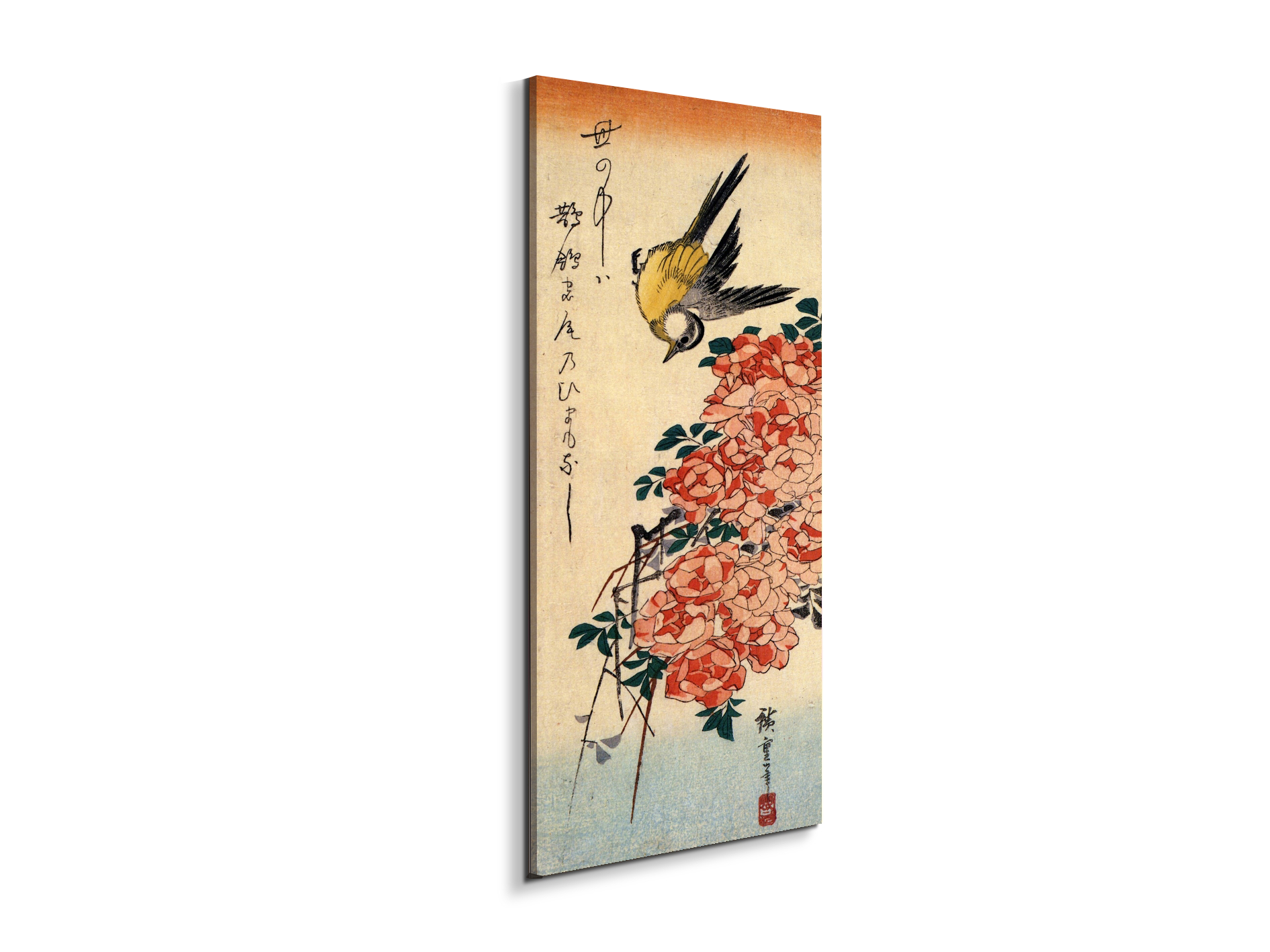 wagtail-and-rosesas93035-