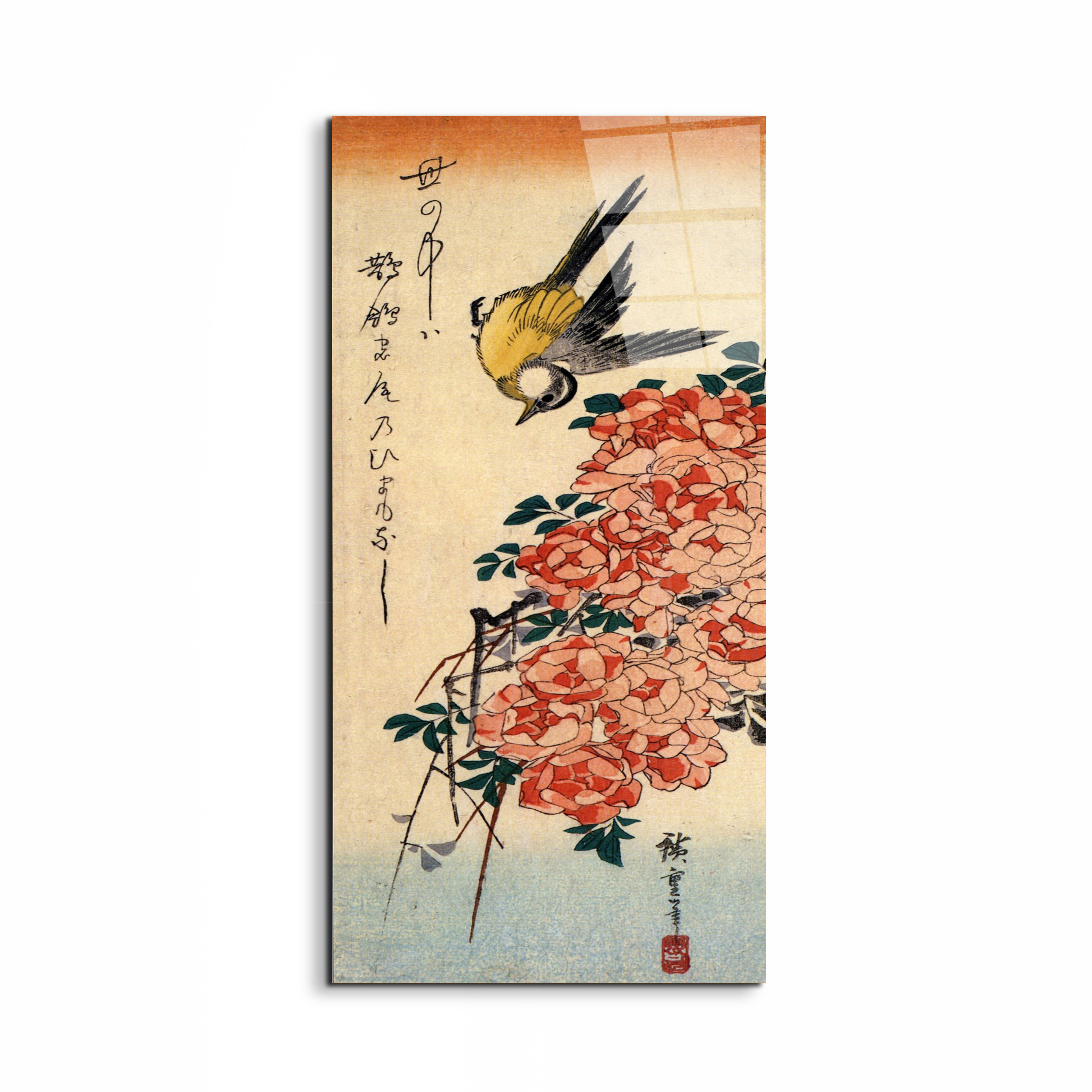 wagtail-and-rosesas93035-