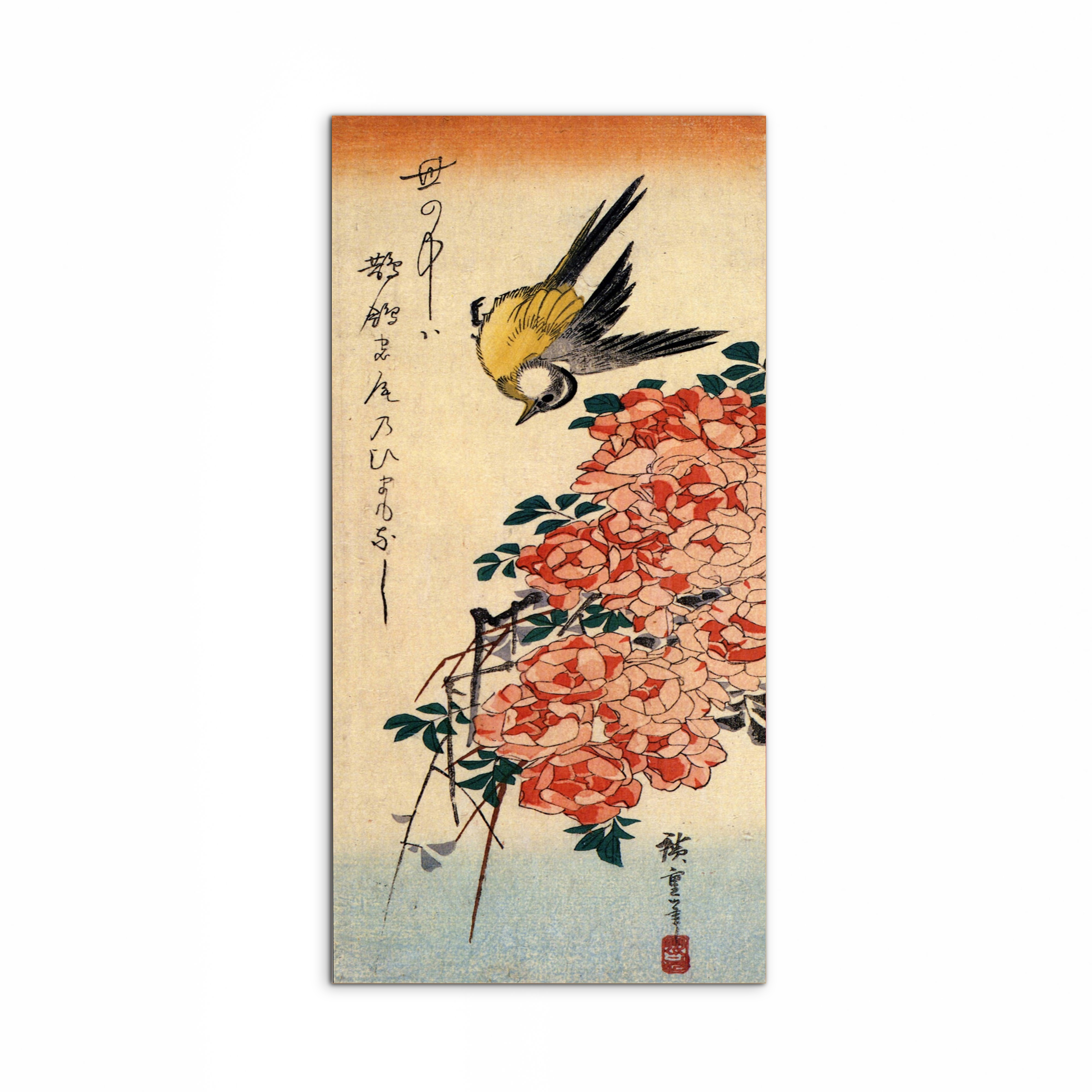 wagtail-and-rosesas93035-