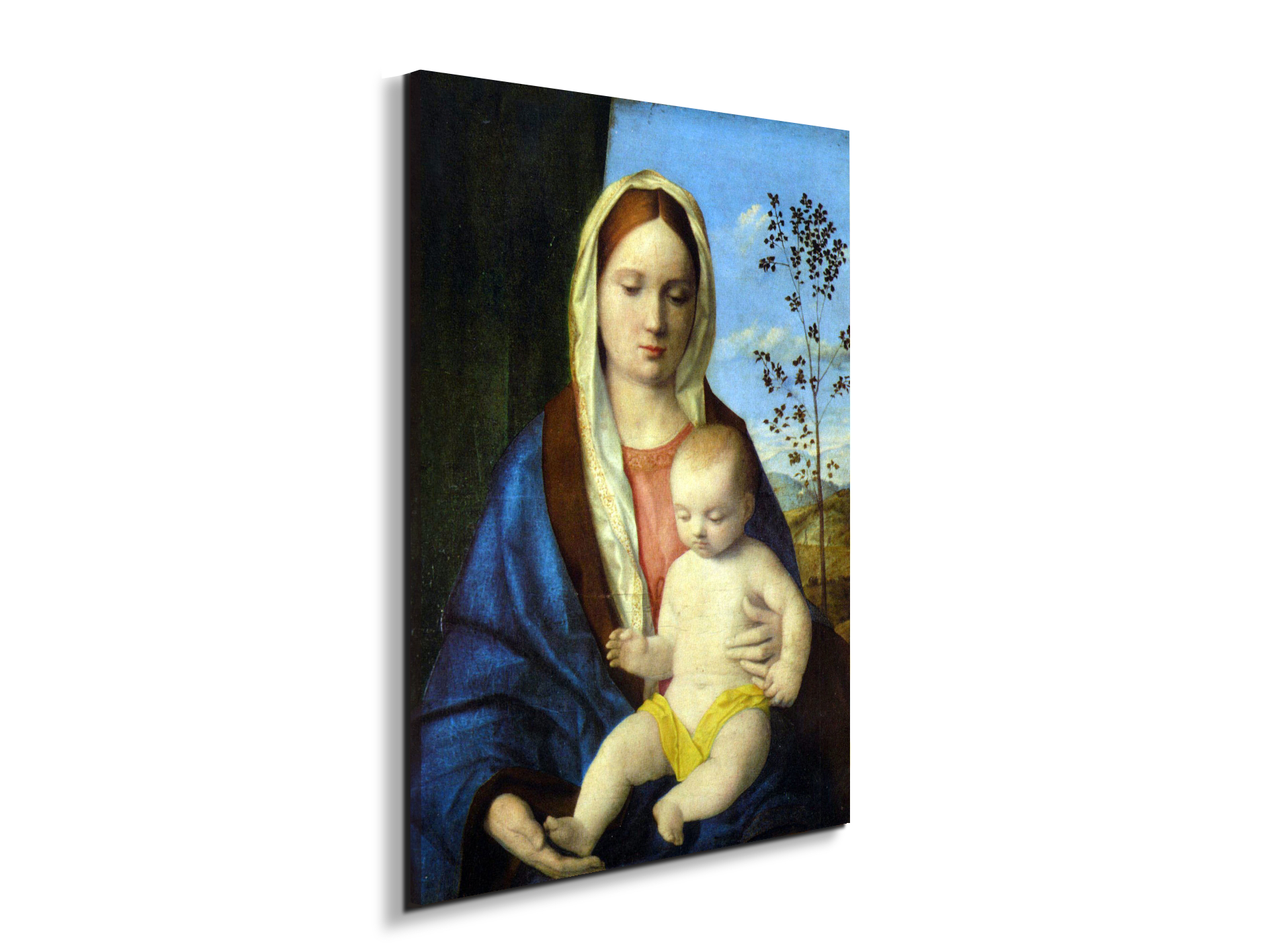 madonna-ias93139-