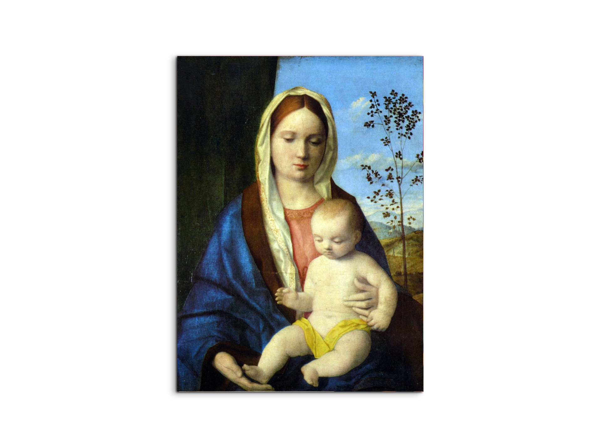 madonna-ias93139-