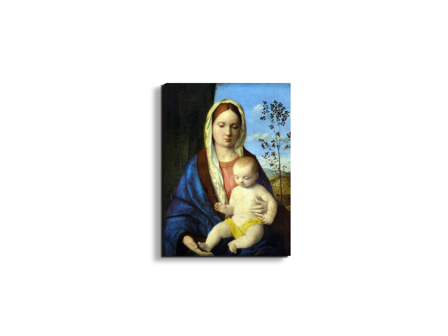 madonna-ias93139-