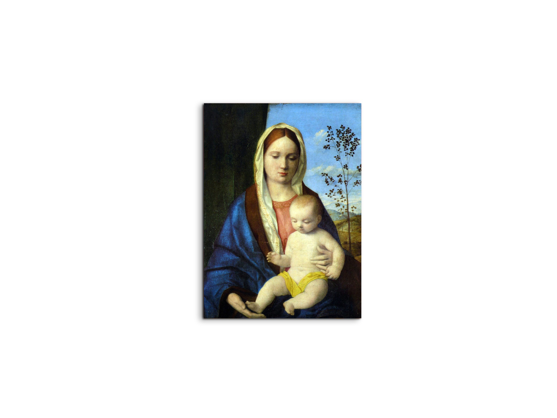 madonna-ias93139-