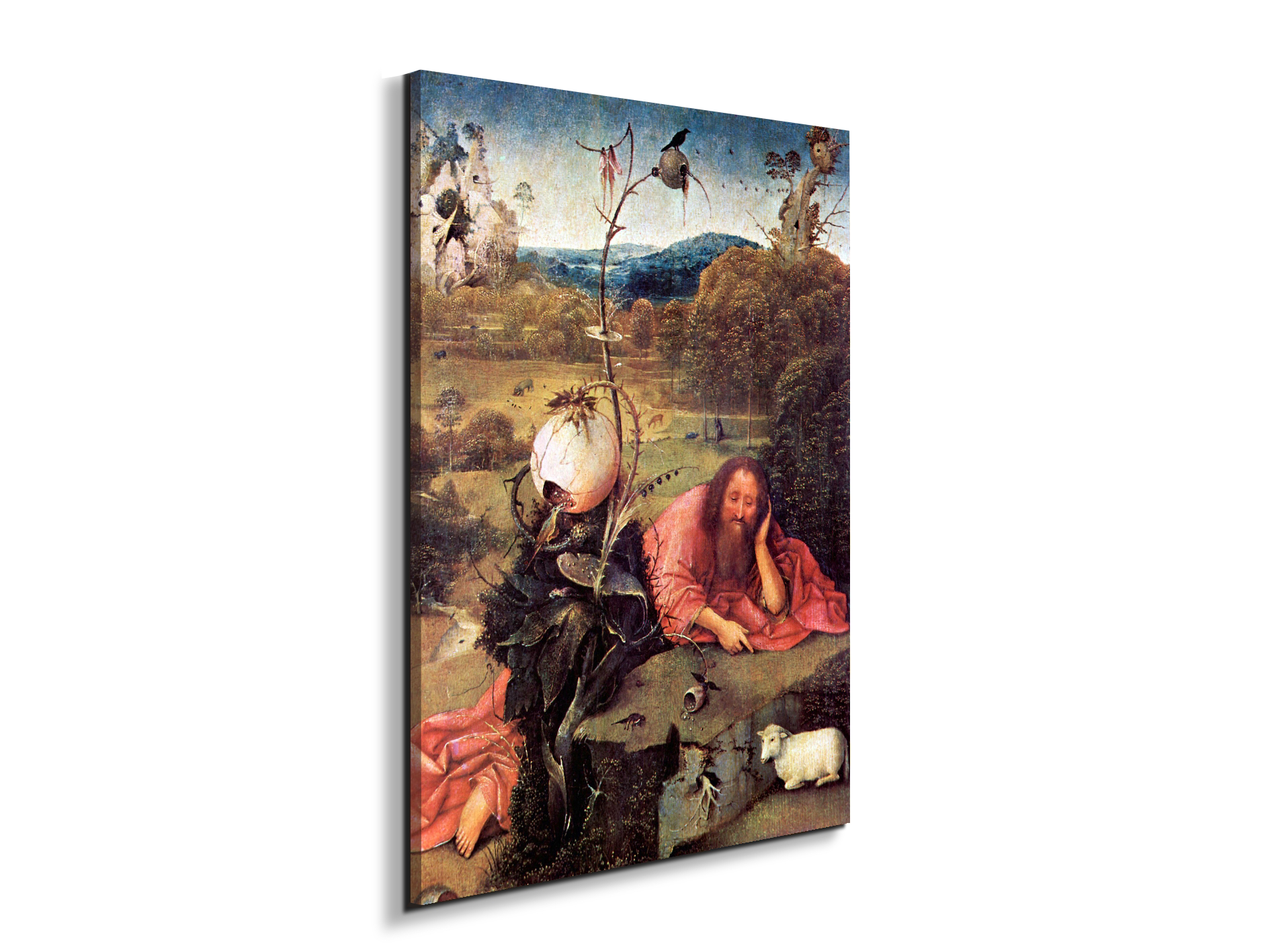 meditator-st-john-the-baptistas93157-