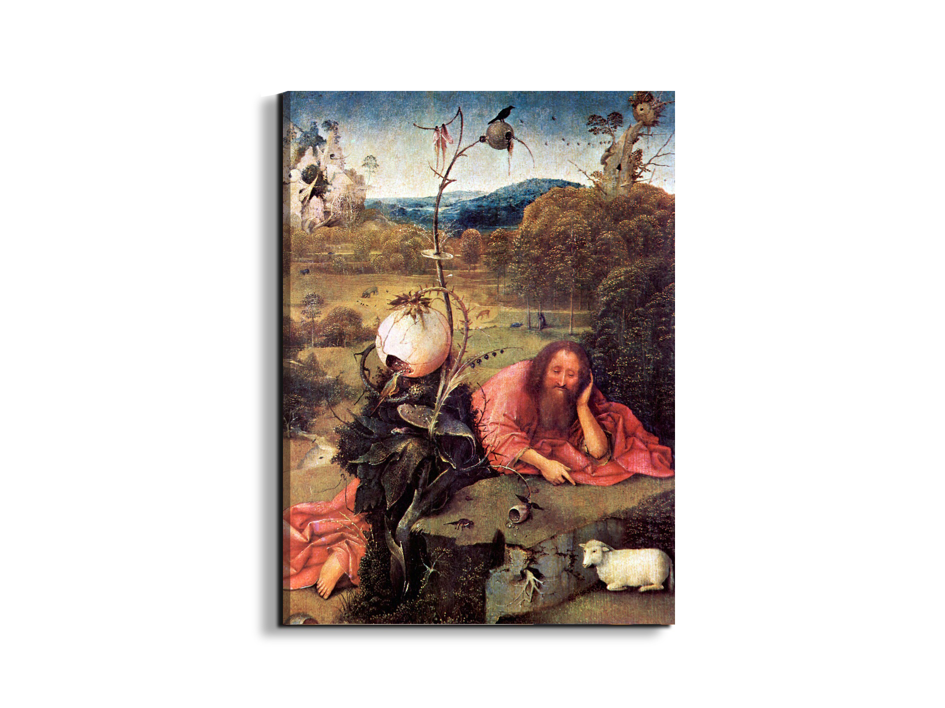 meditator-st-john-the-baptistas93157-