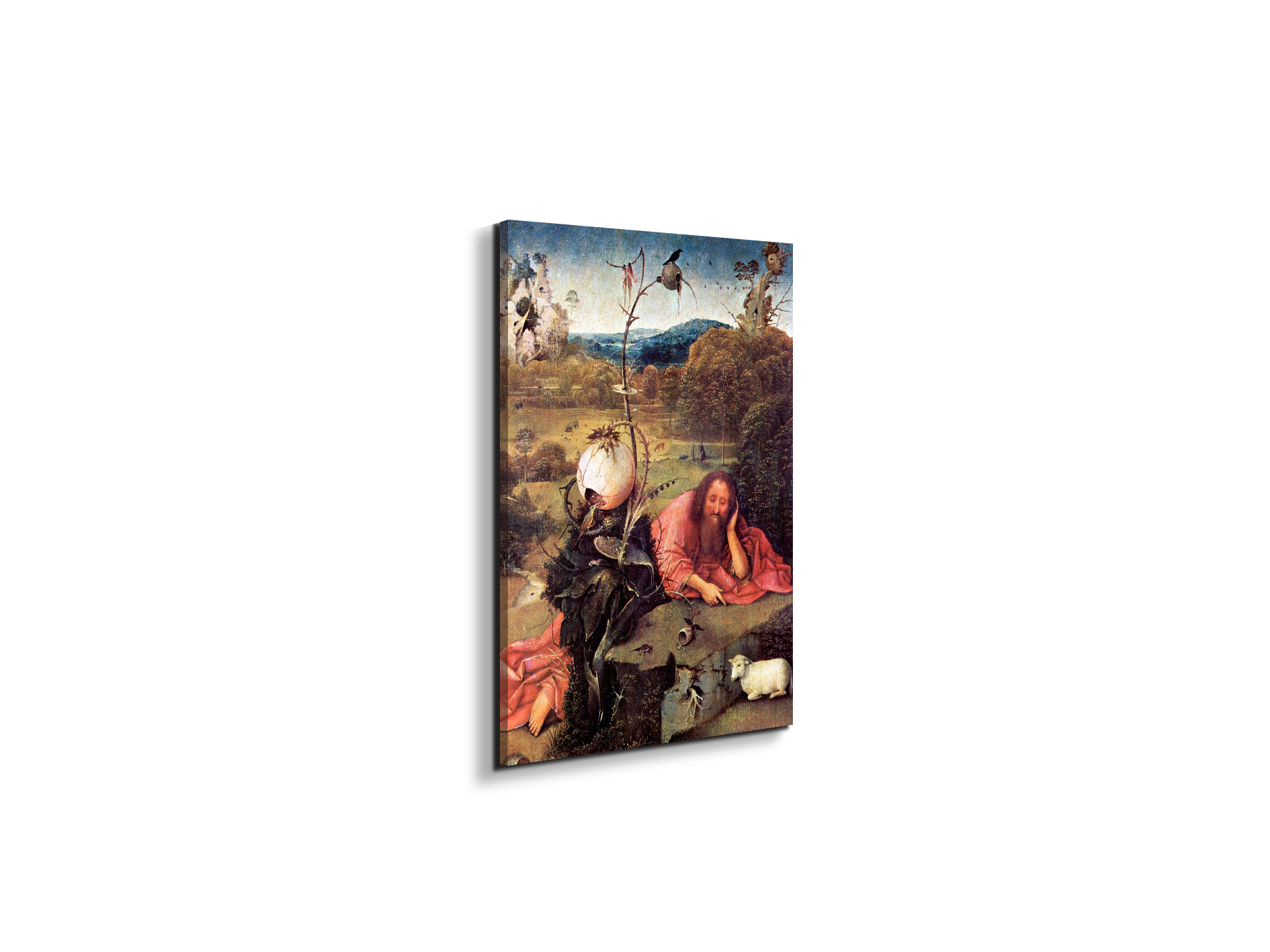 meditator-st-john-the-baptistas93157-