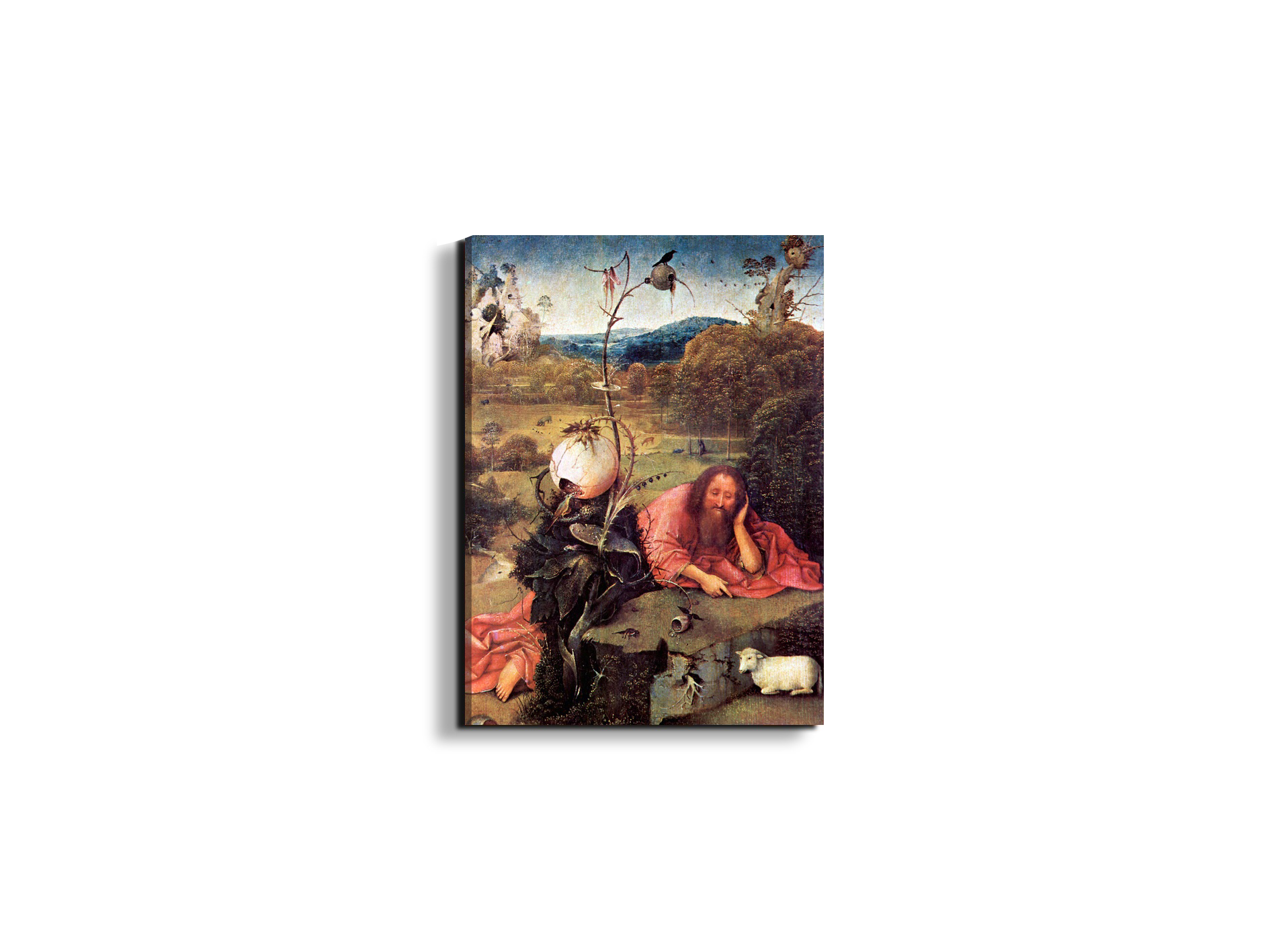 meditator-st-john-the-baptistas93157-