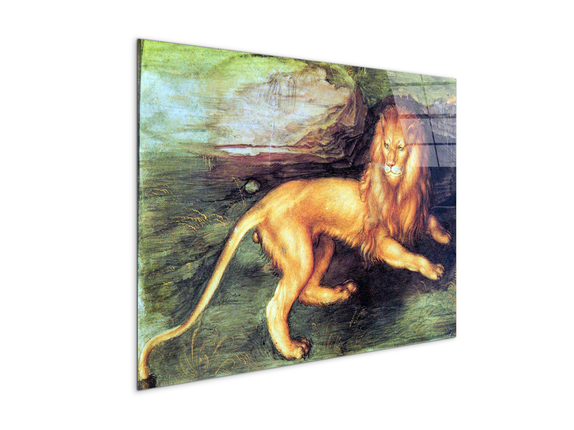 lionas93201-