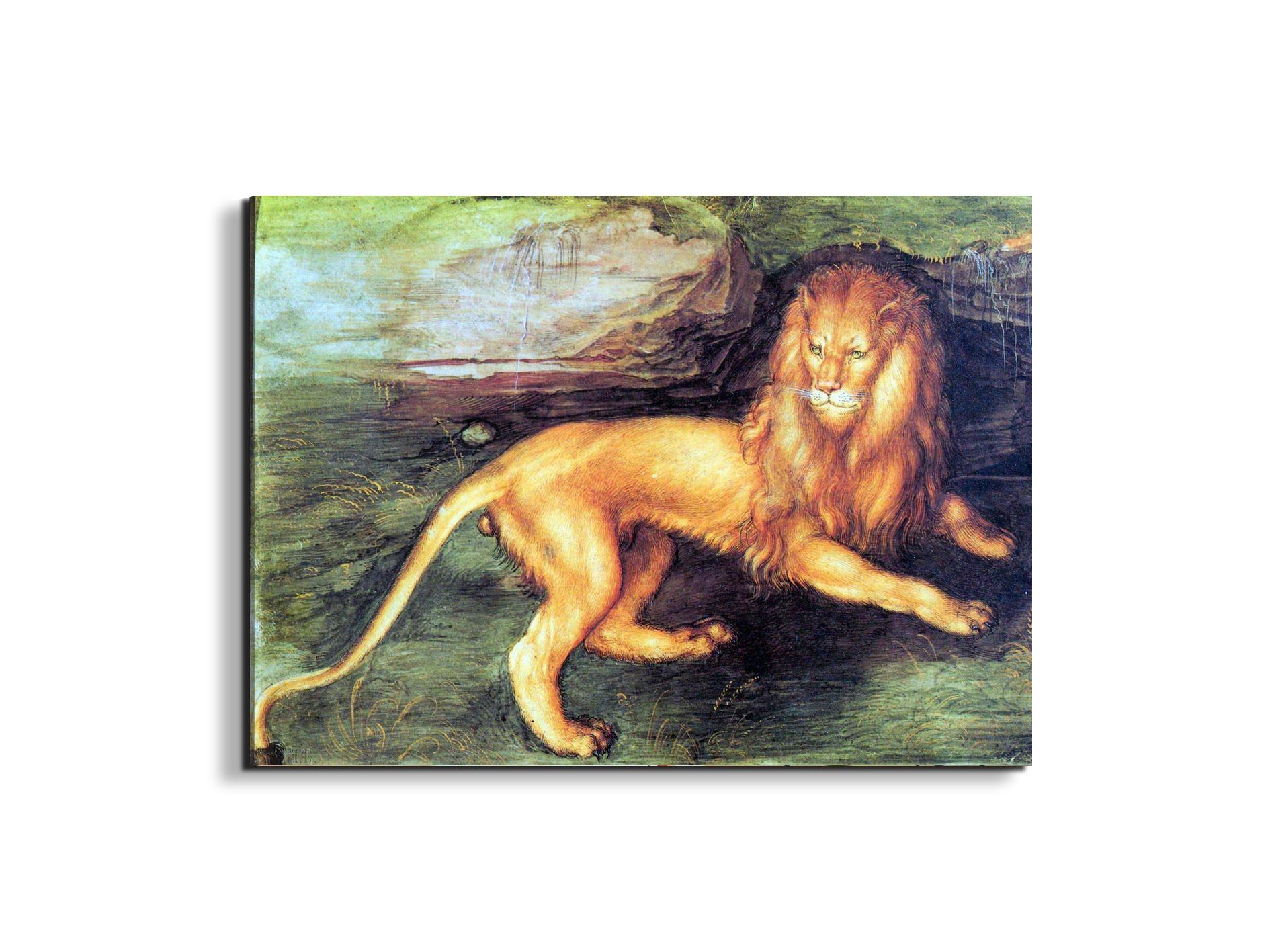 lionas93201-