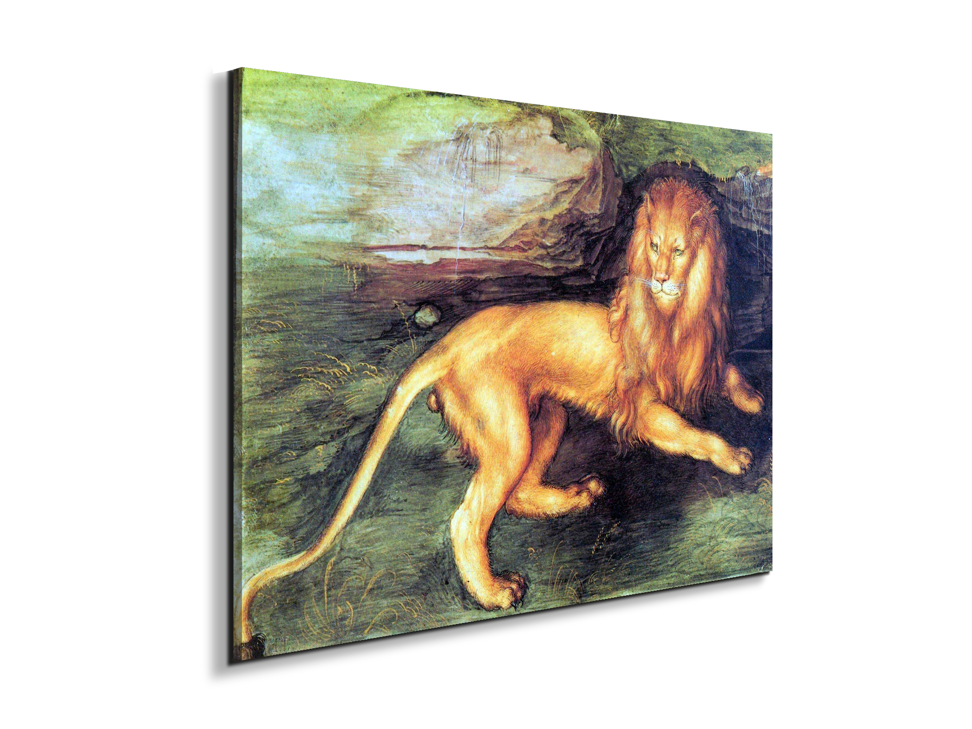 lionas93201-