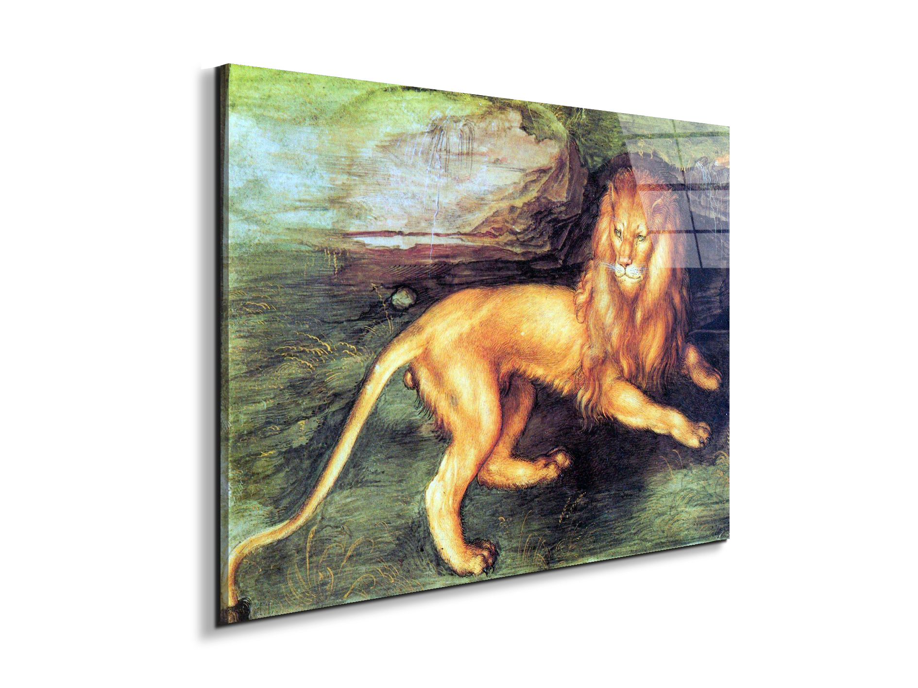 lionas93201-