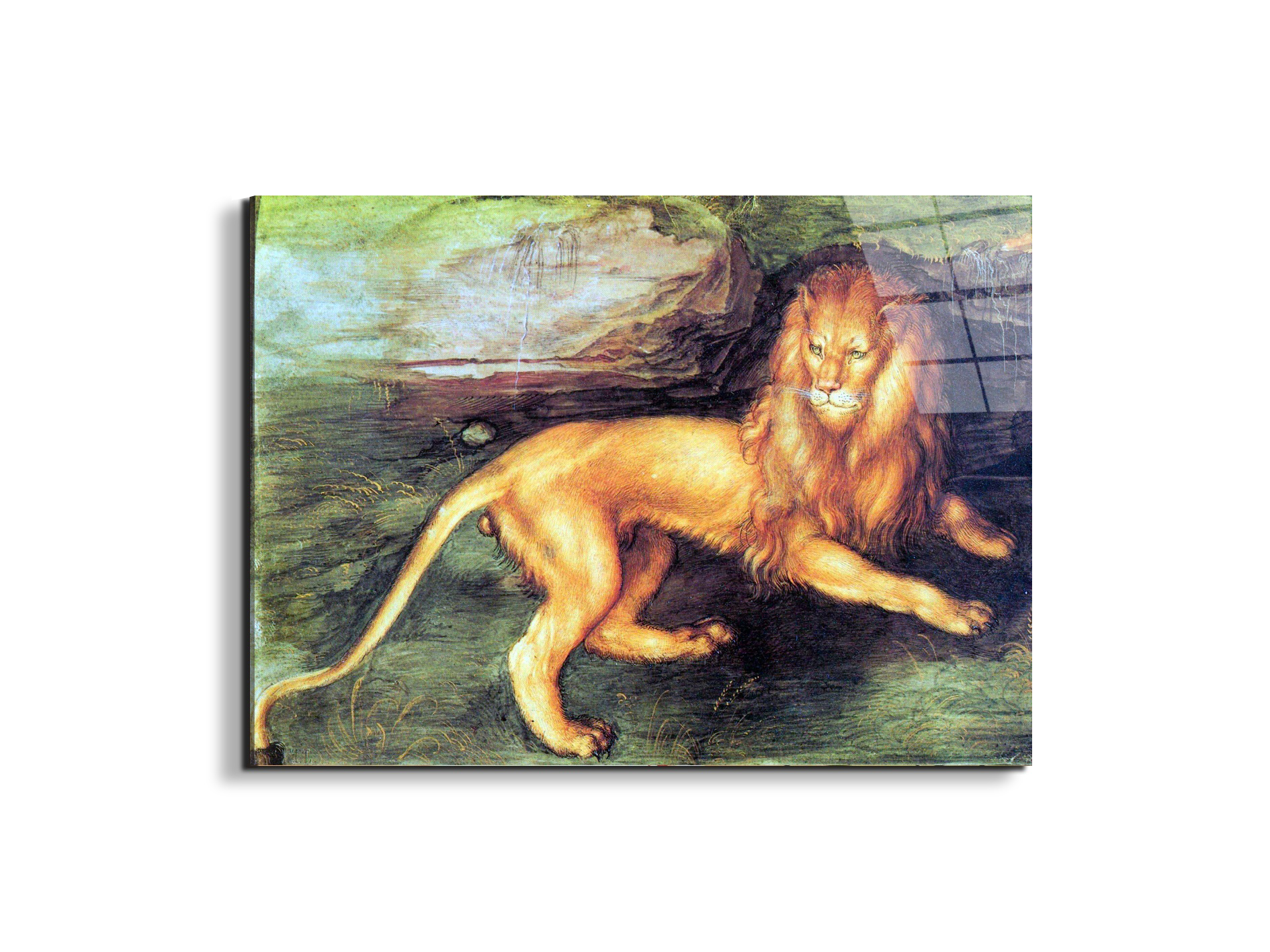 lionas93201-