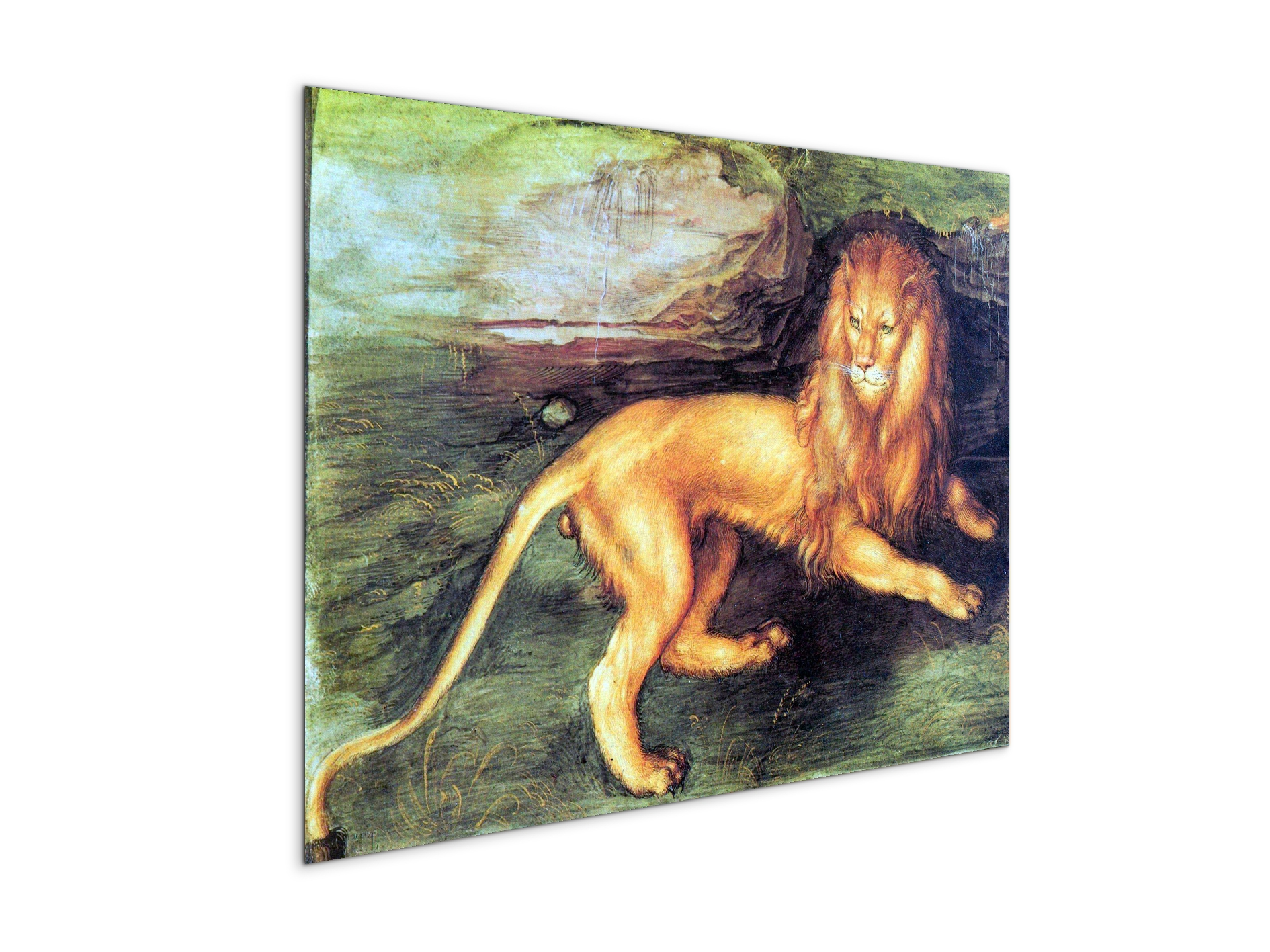 lionas93201-