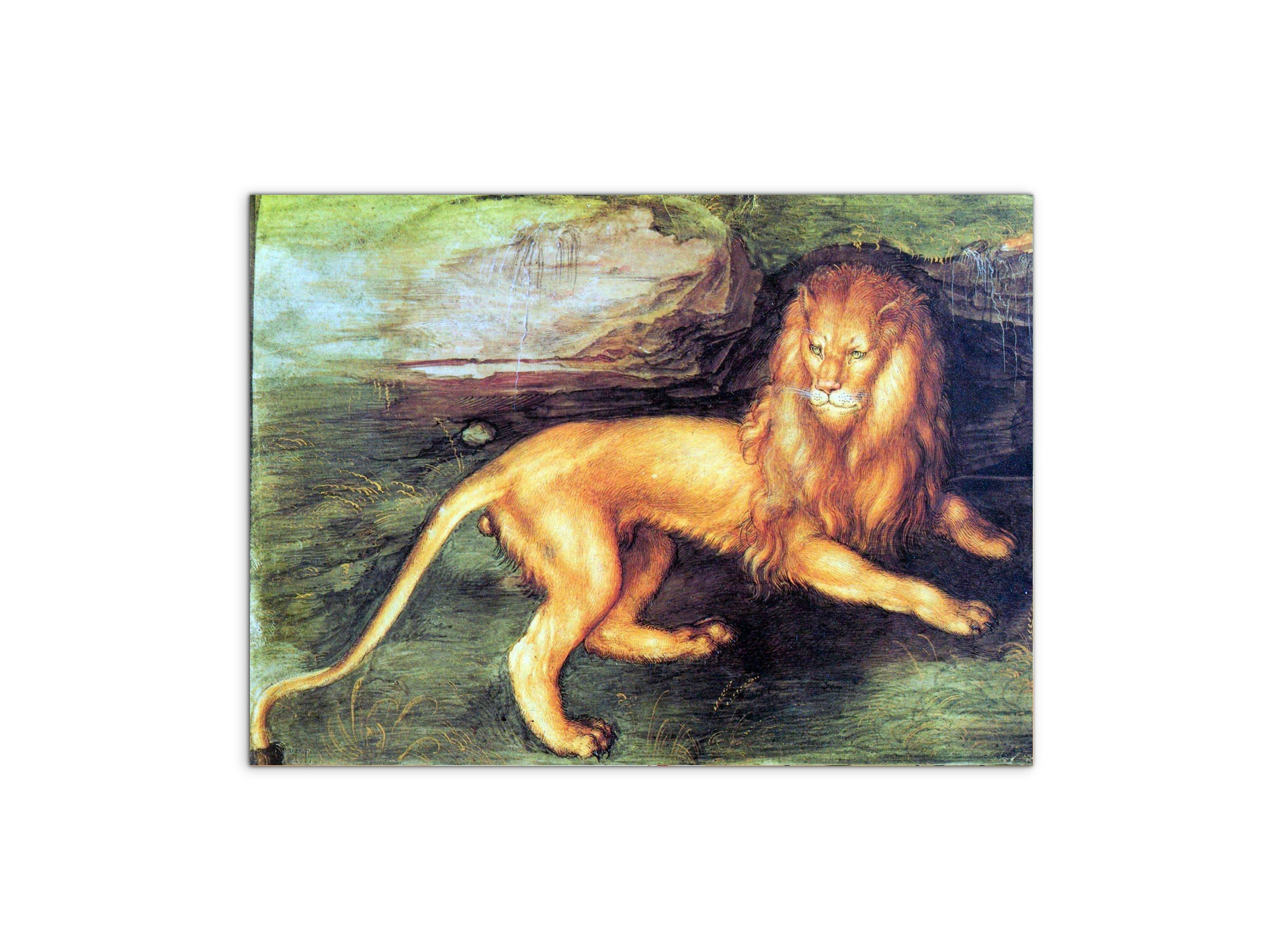 lionas93201-