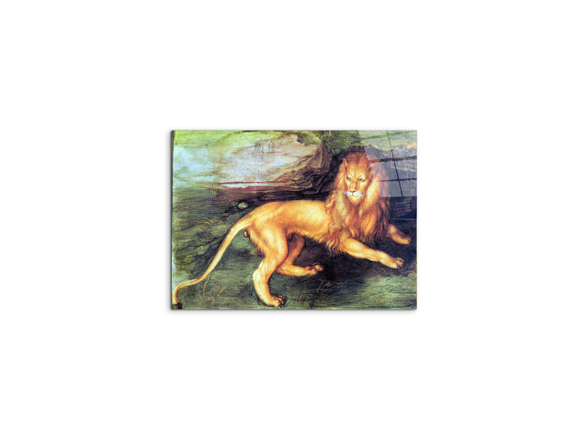 lionas93201-