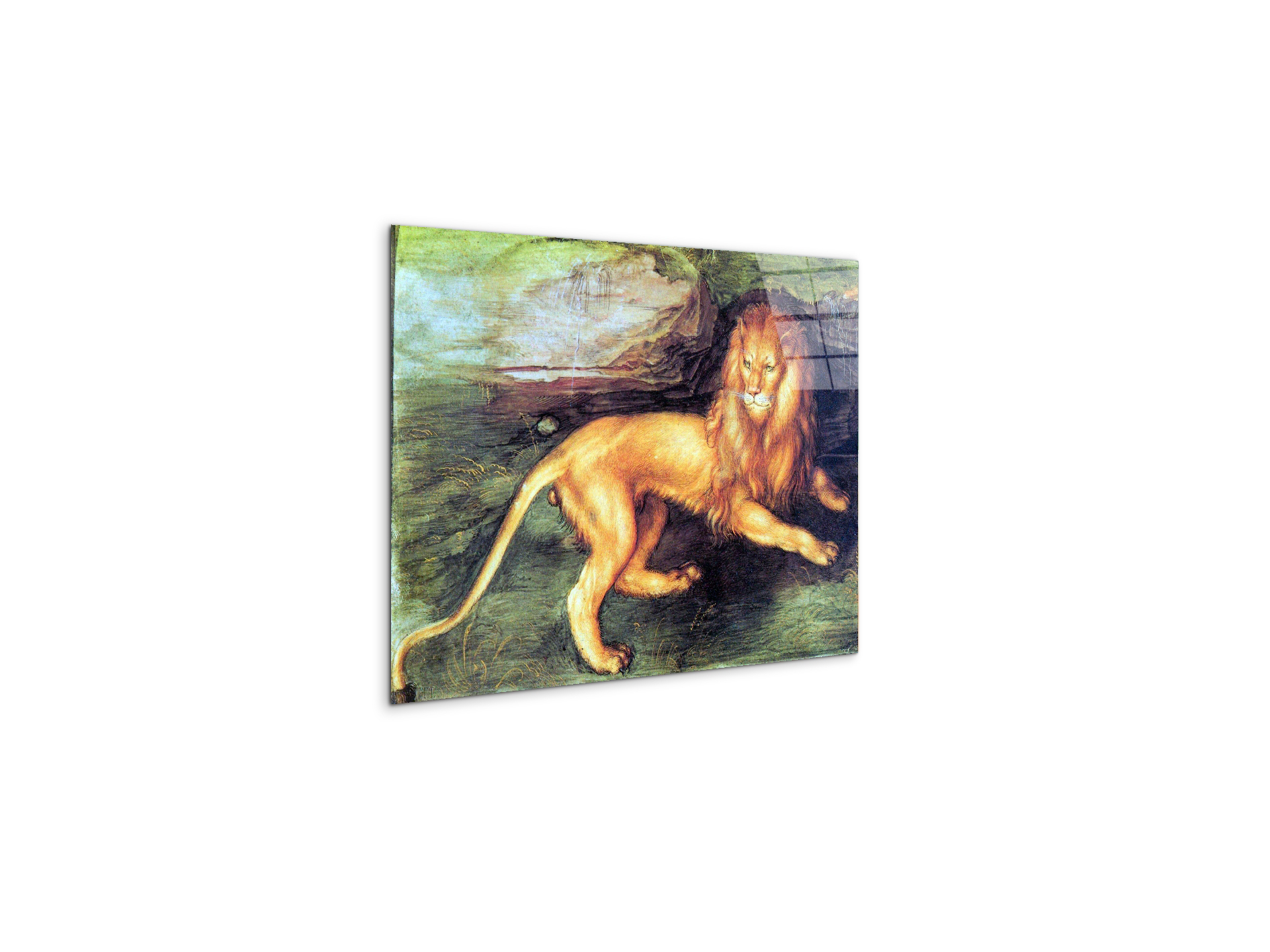 lionas93201-