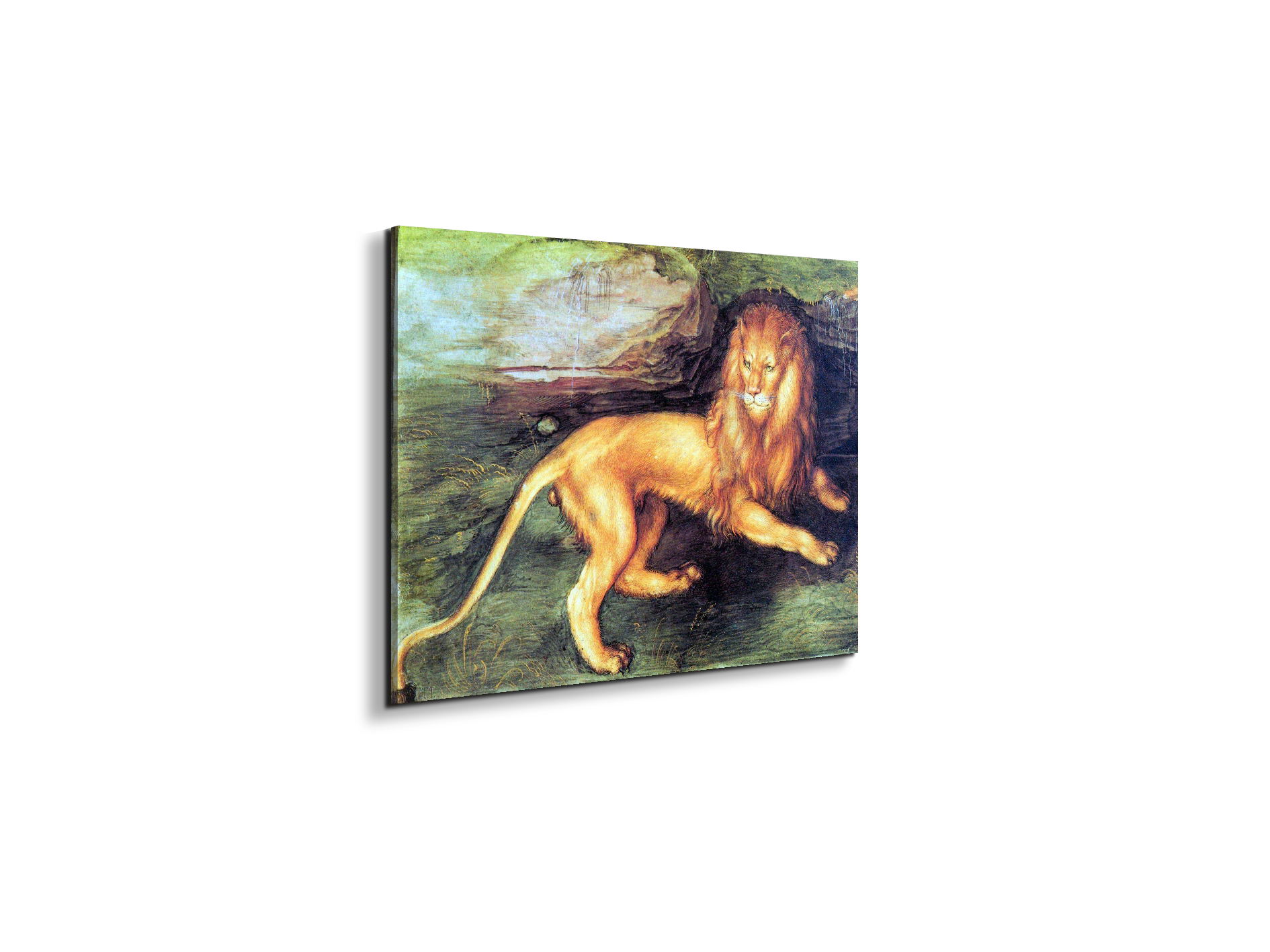 lionas93201-