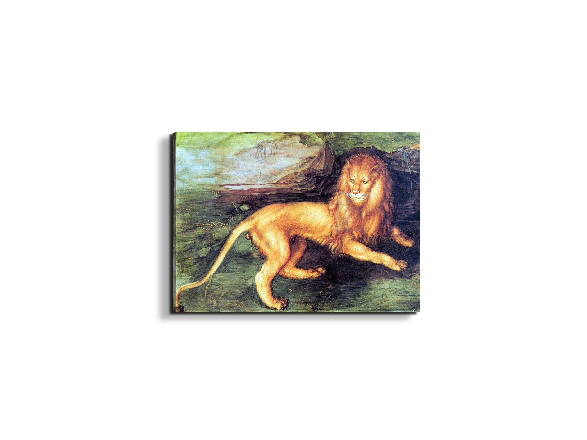 lionas93201-