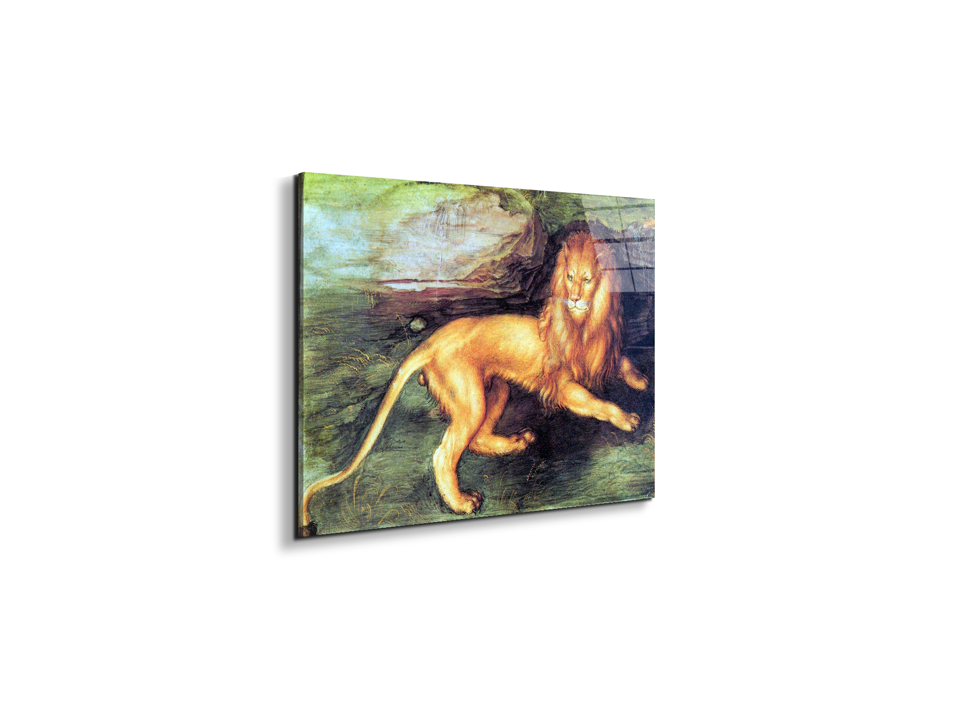 lionas93201-