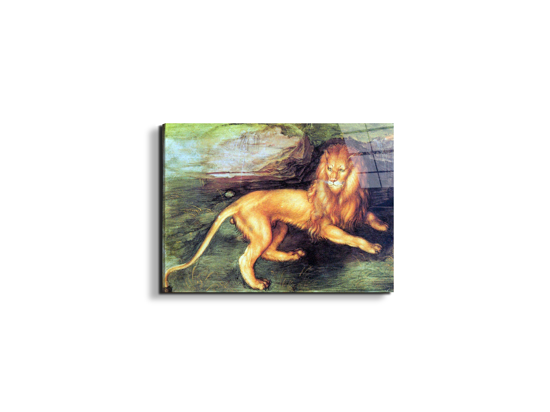 lionas93201-