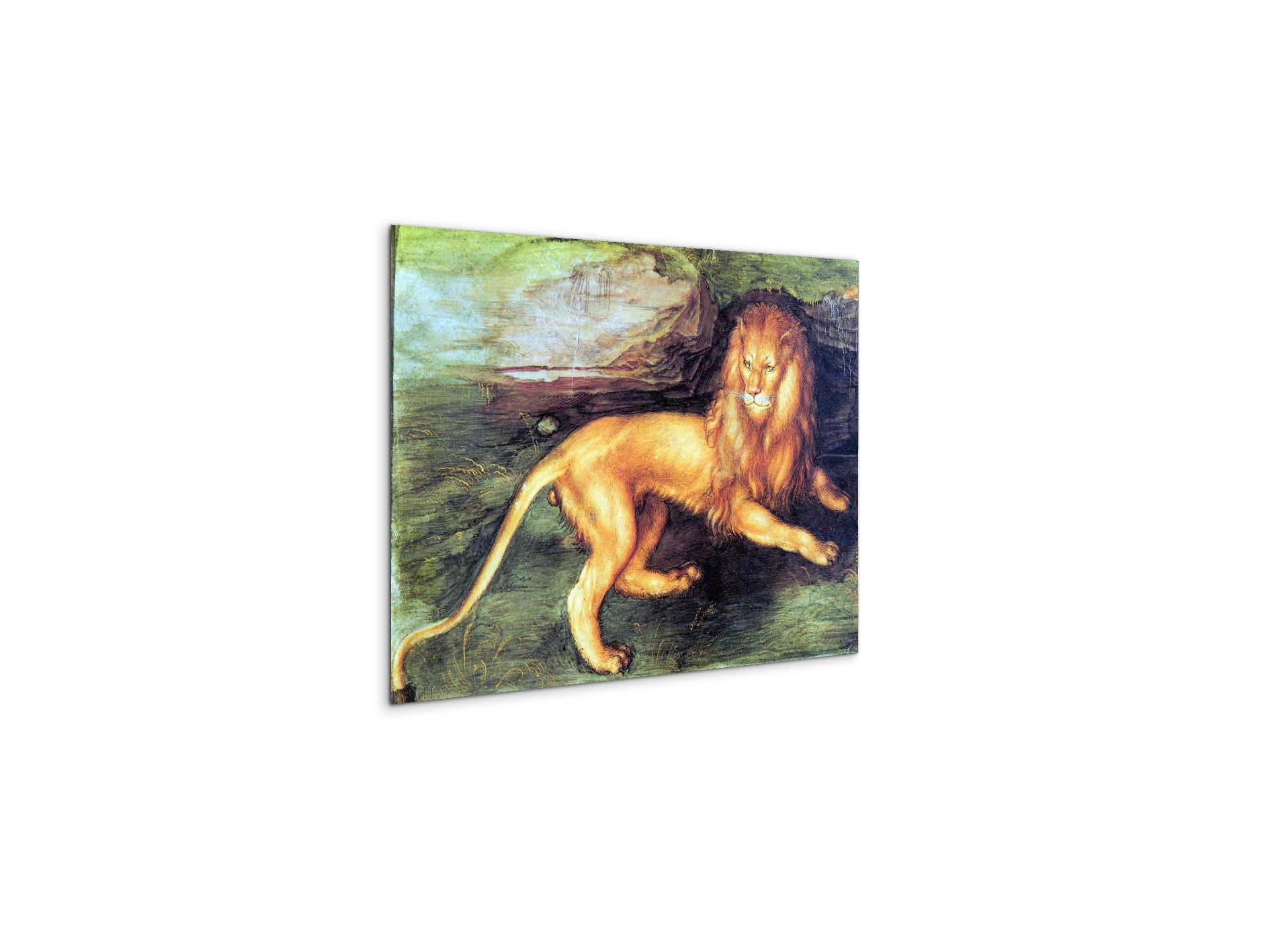 lionas93201-