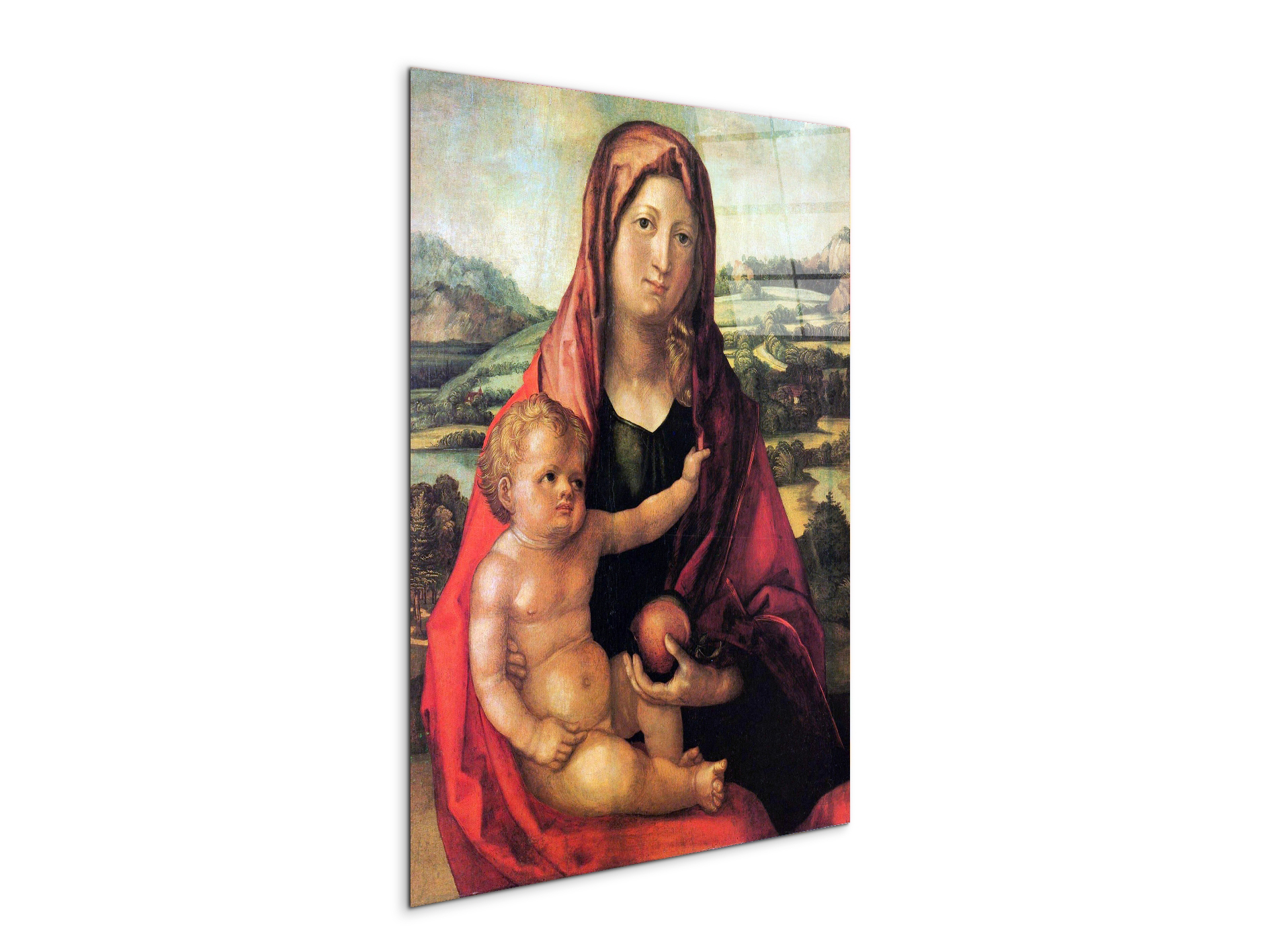 mary-with-child-against-a-landscapeas93206-#materiale_CrystalArt/dimensioni_57x76
