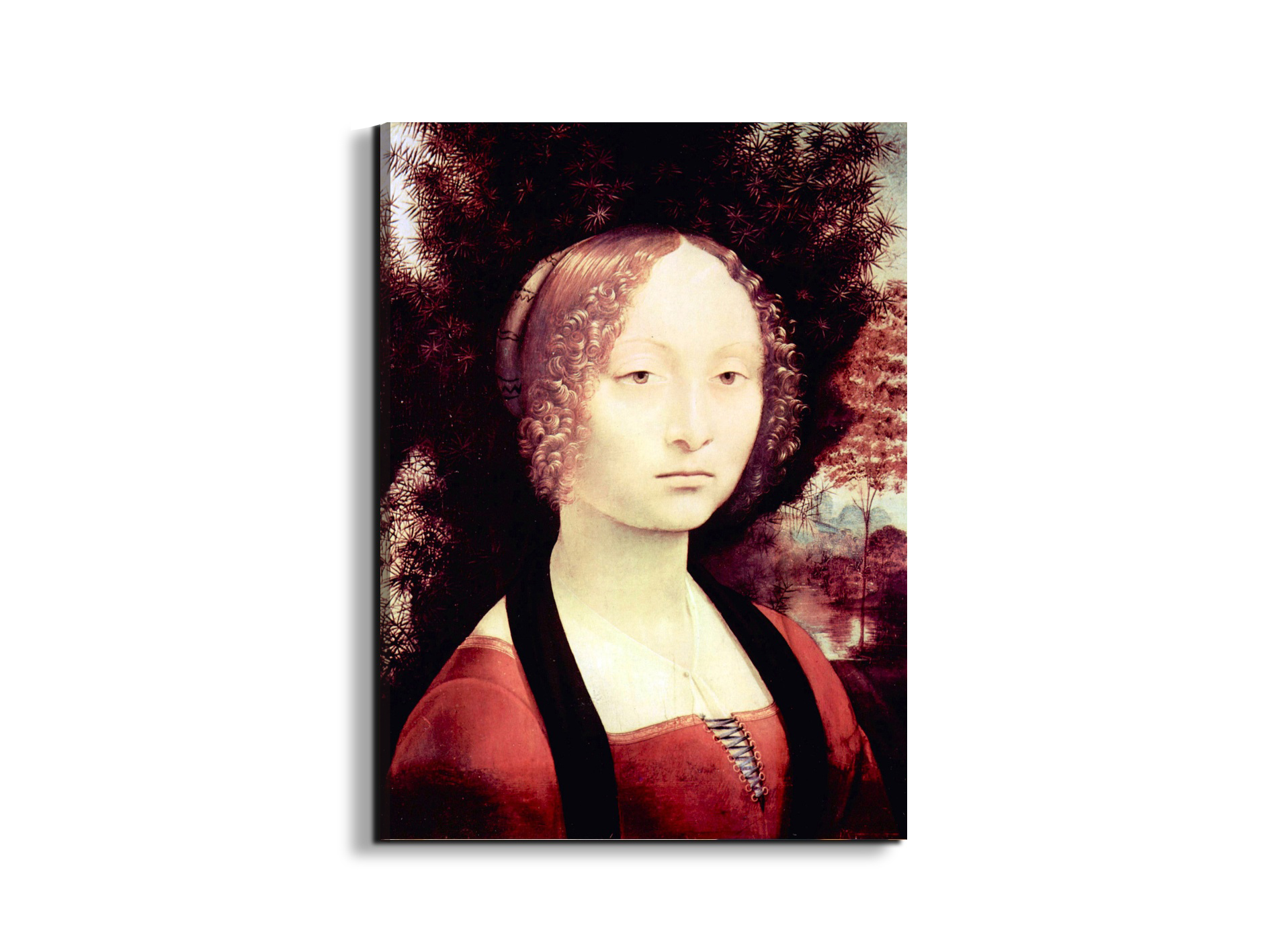 portrait-of-a-dame-ginevra-bencias93248-#materiale_EarthArt Materic/dimensioni_57x76