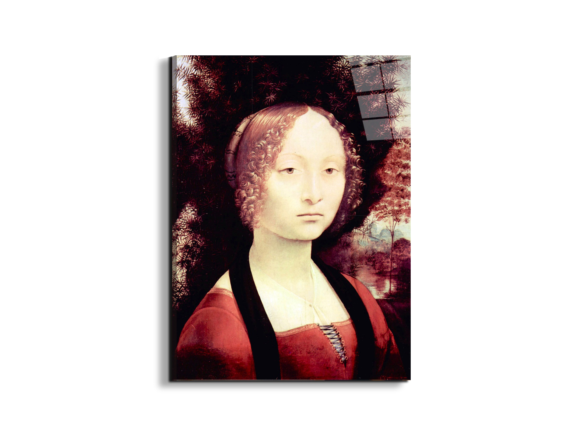 portrait-of-a-dame-ginevra-bencias93248-#materiale_EarthArt Total Gloss/dimensioni_57x76