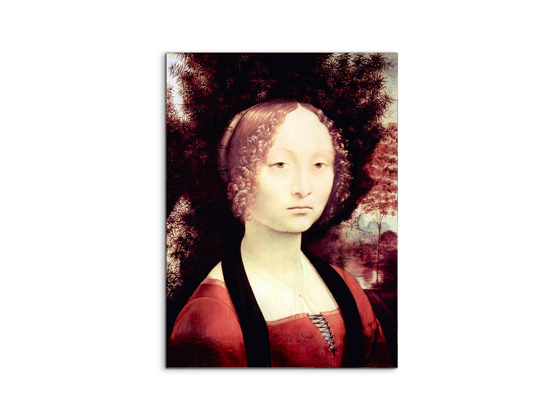 portrait-of-a-dame-ginevra-bencias93248-#materiale_MetalArt Materic/dimensioni_57x76