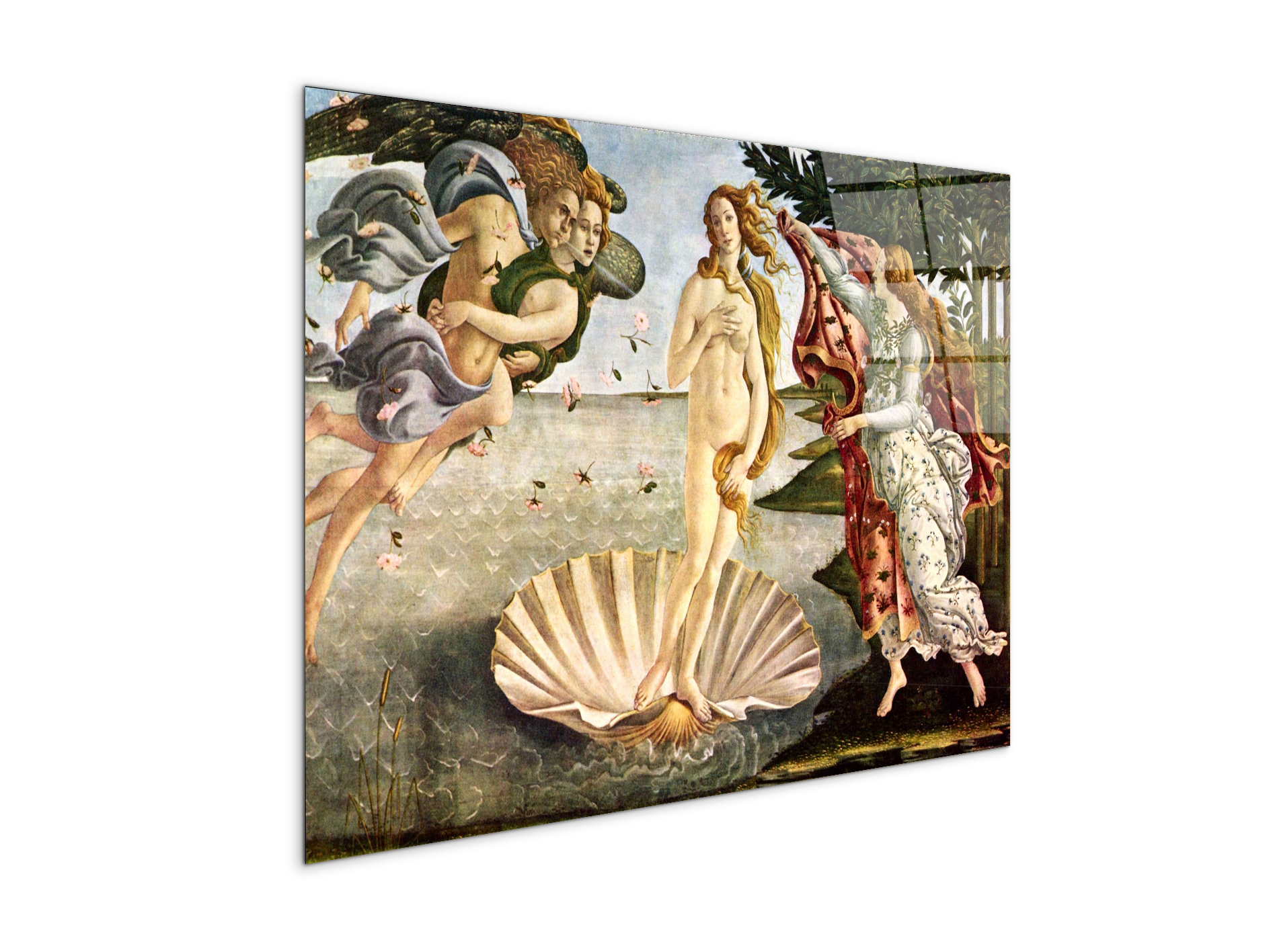 birth-of-venusas93256-