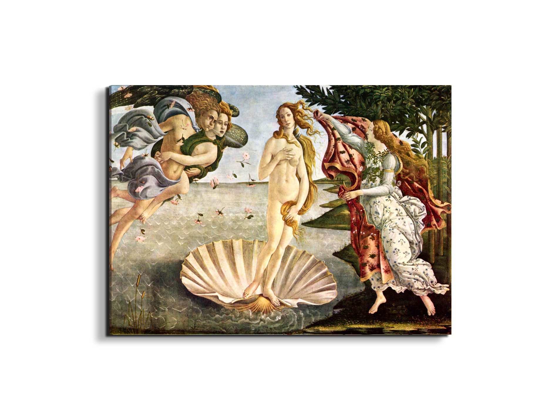 birth-of-venusas93256-