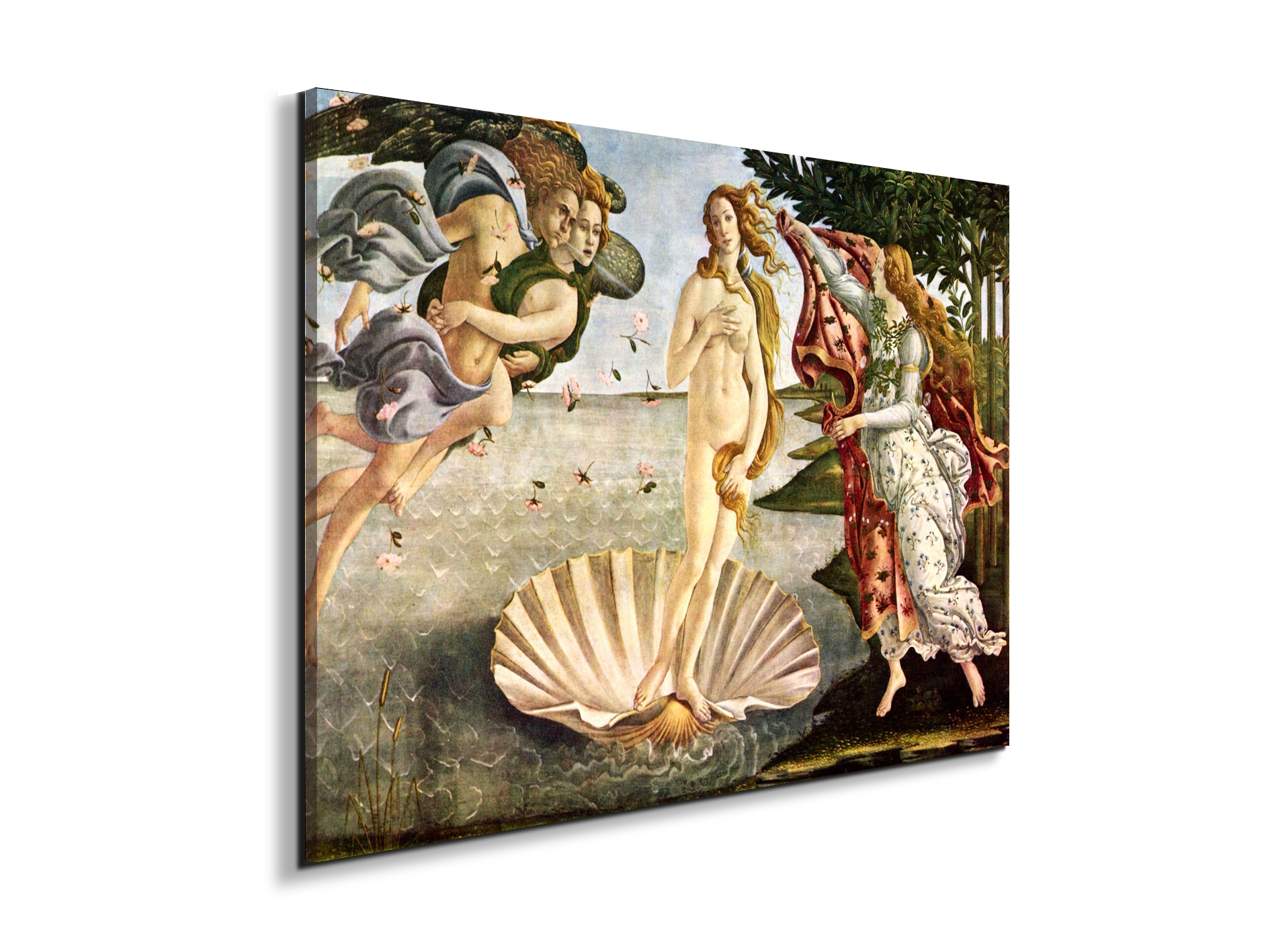 birth-of-venusas93256-
