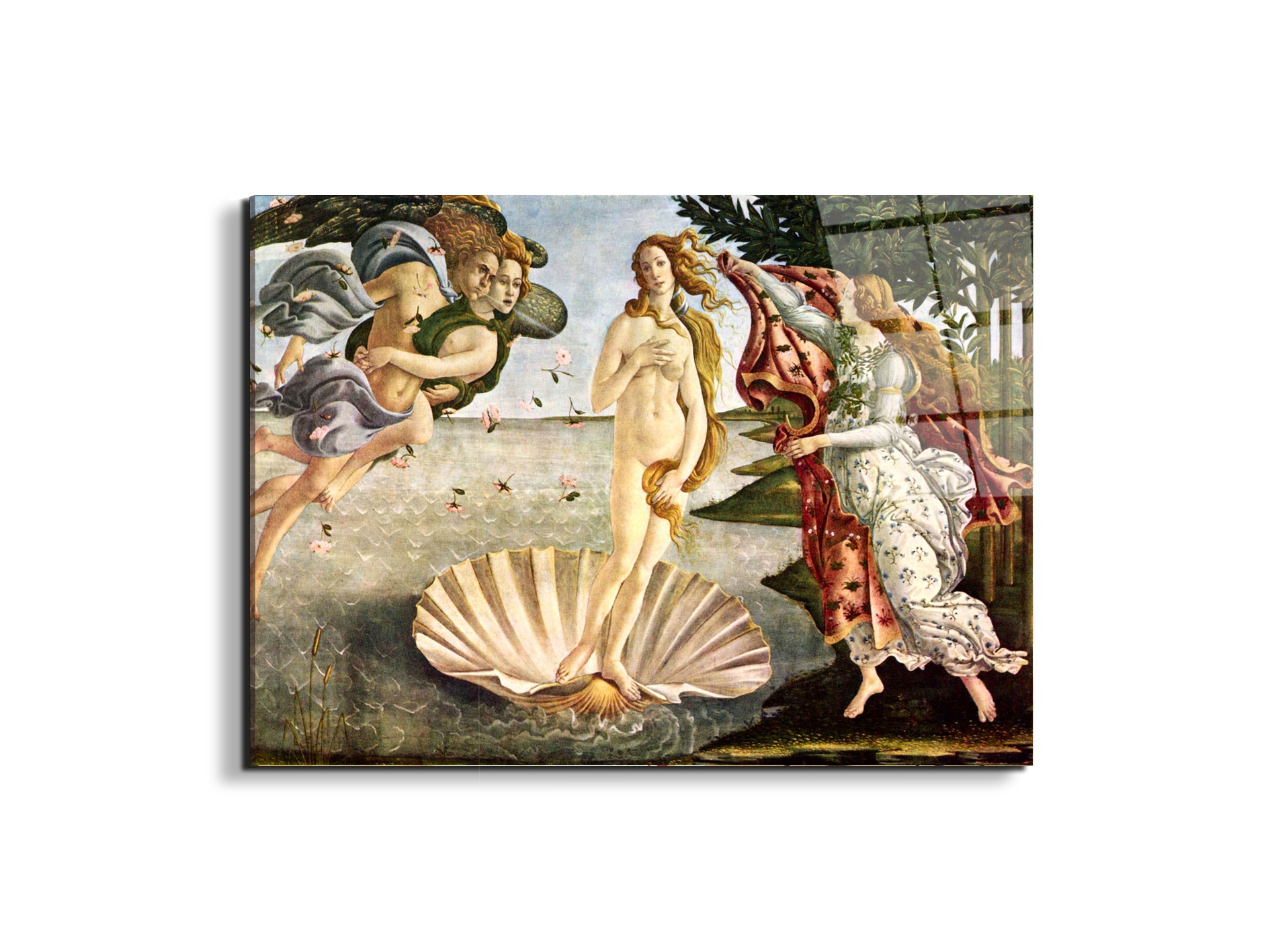 birth-of-venusas93256-