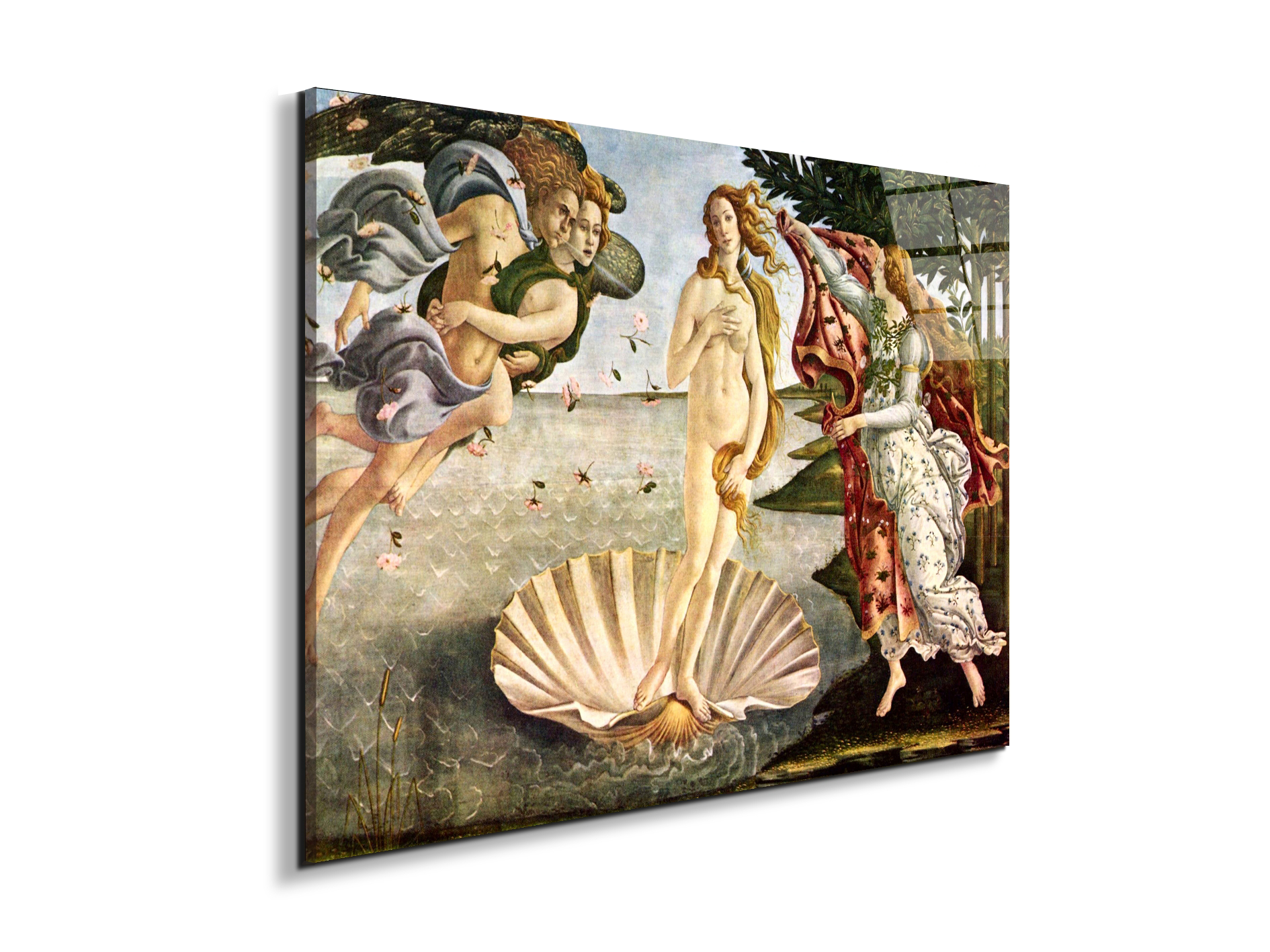 birth-of-venusas93256-