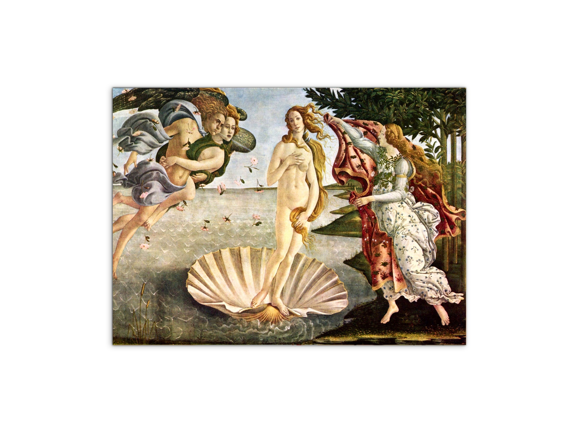 birth-of-venusas93256-