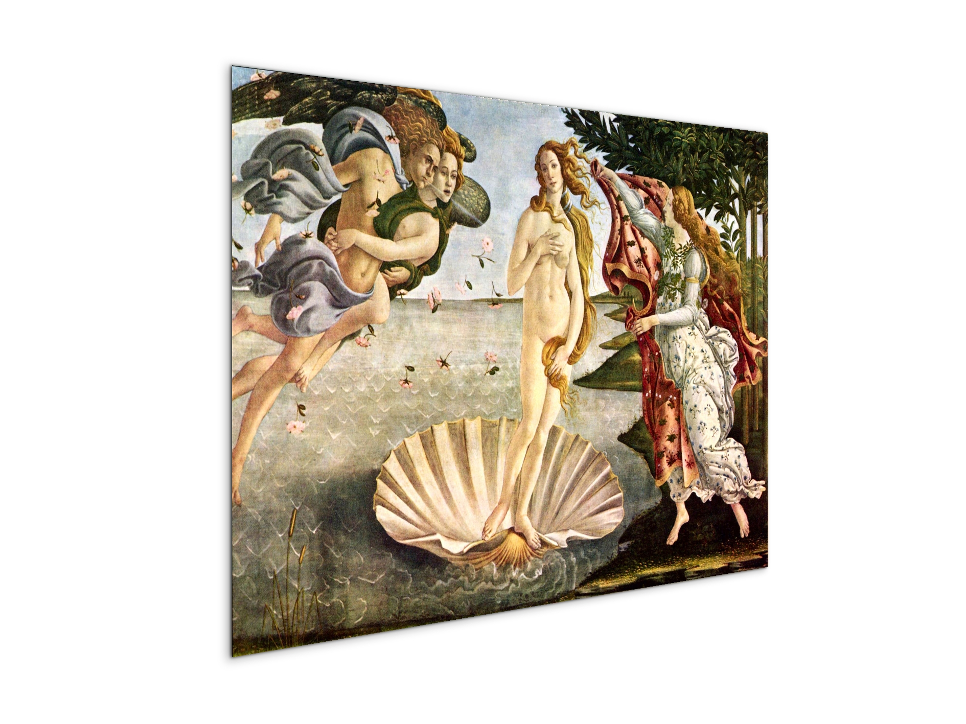 birth-of-venusas93256-