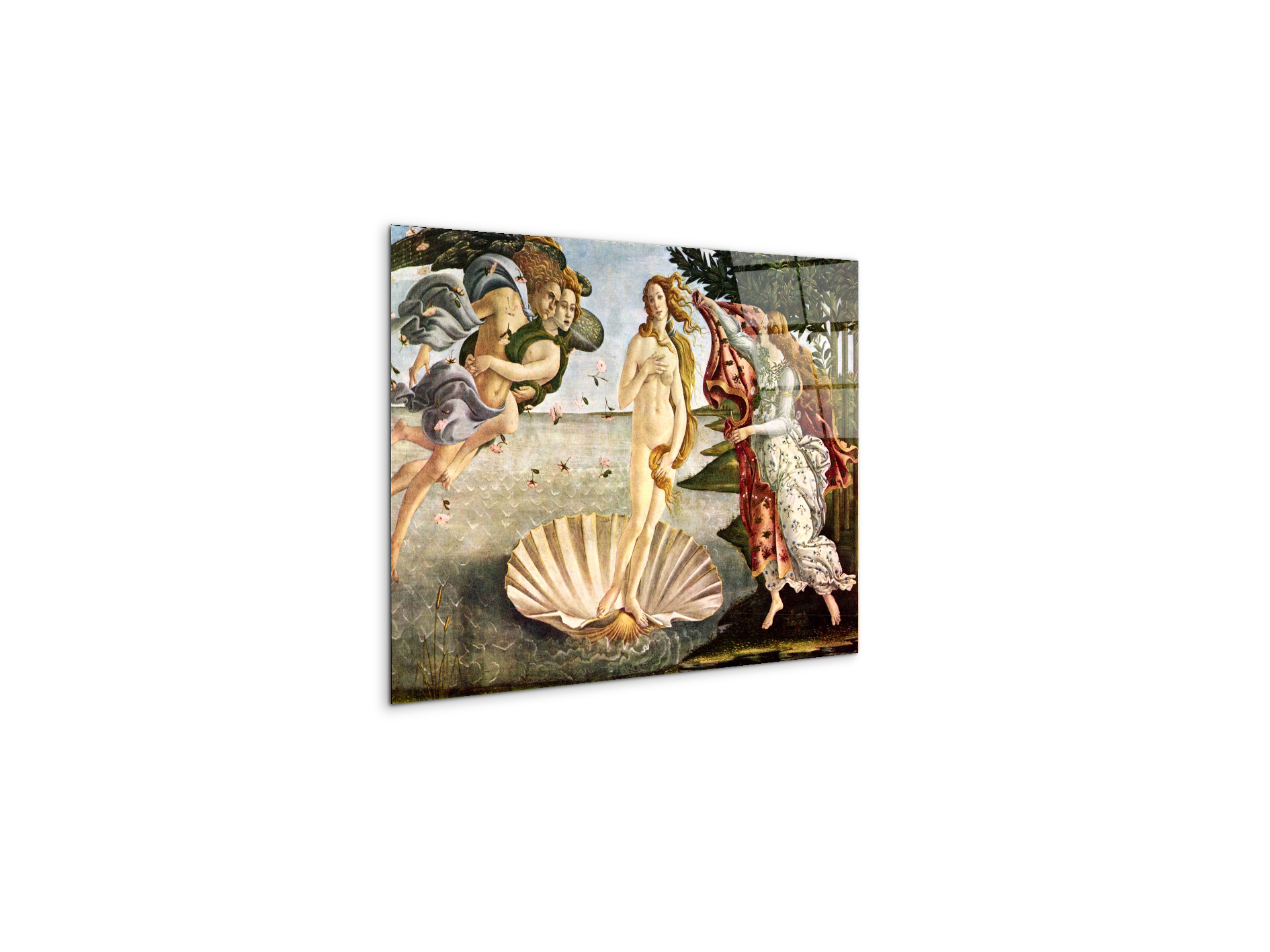 birth-of-venusas93256-