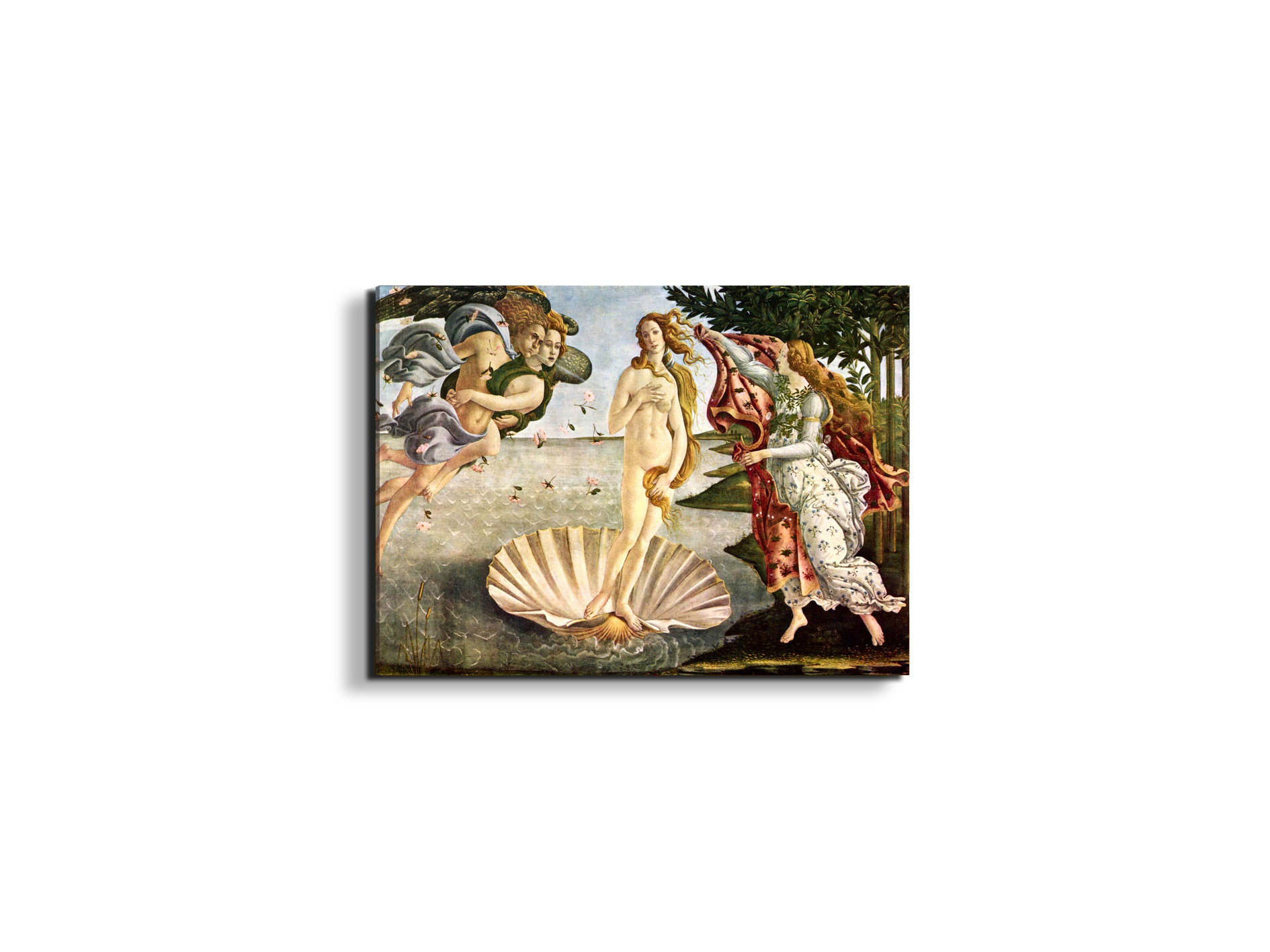 birth-of-venusas93256-